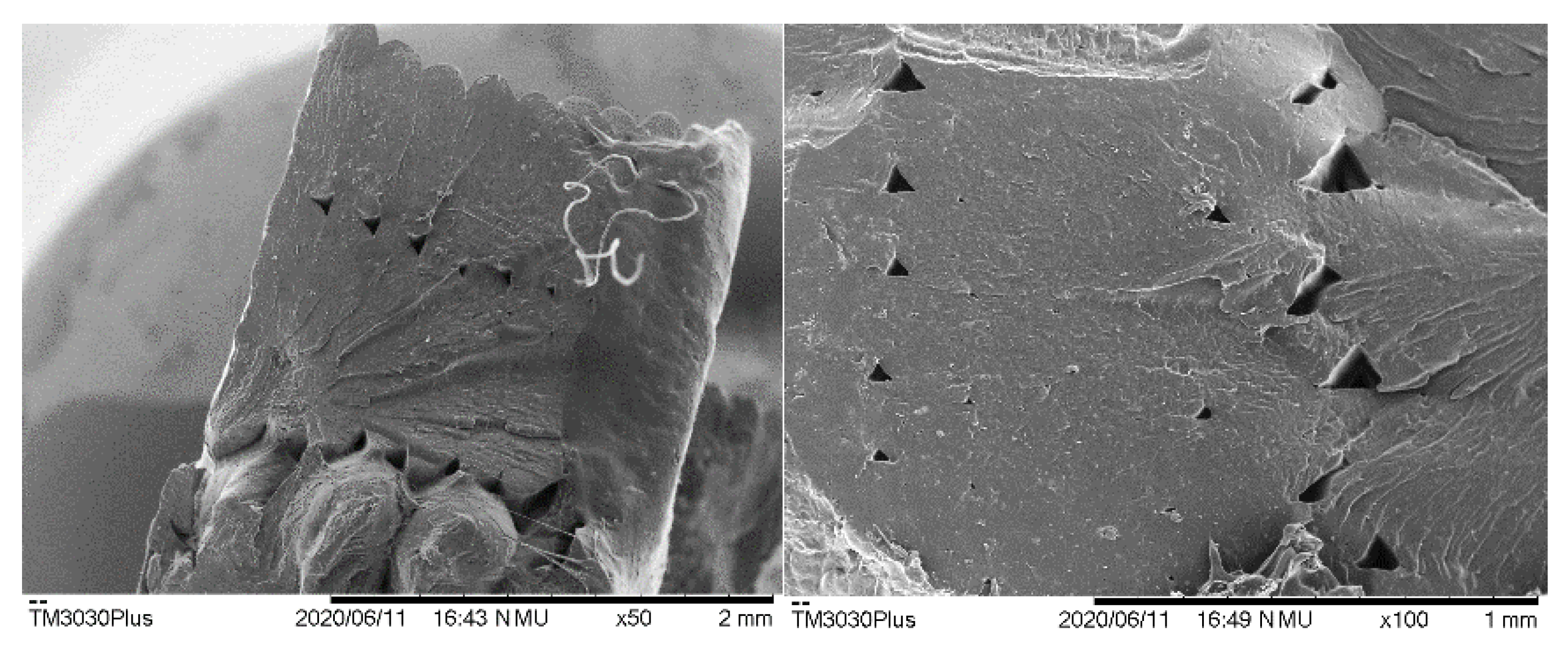 Polymers 12 02070 g009 Polymers 12 02070 g009