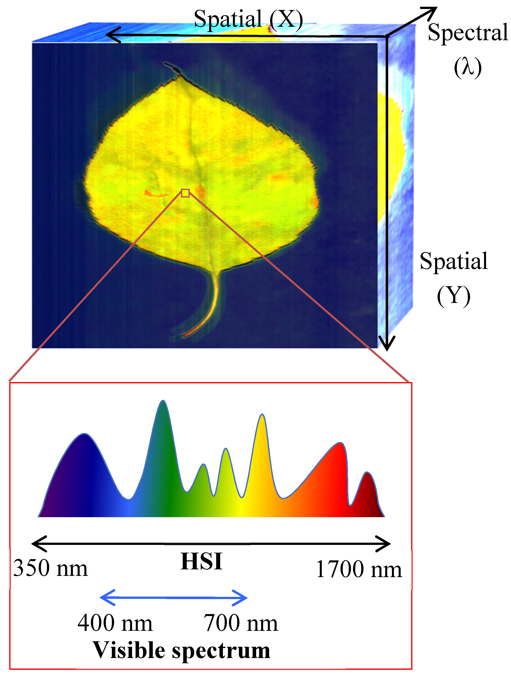 Polymers 12 02071 g001 Polymers 12 02071 g001