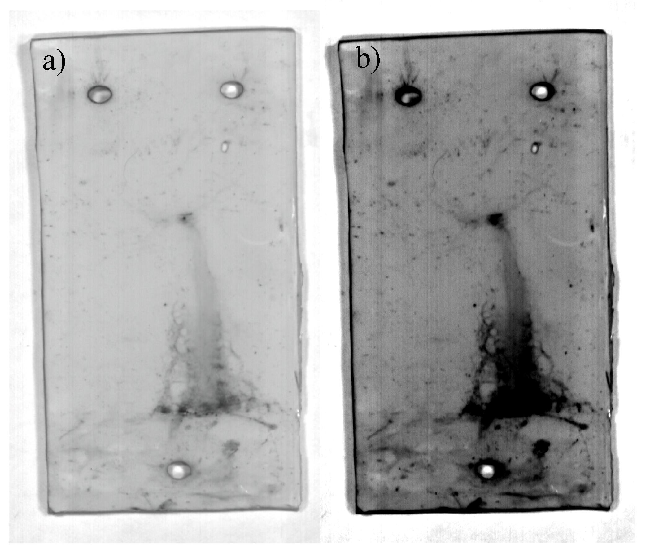 Polymers 12 02071 g010 Polymers 12 02071 g010