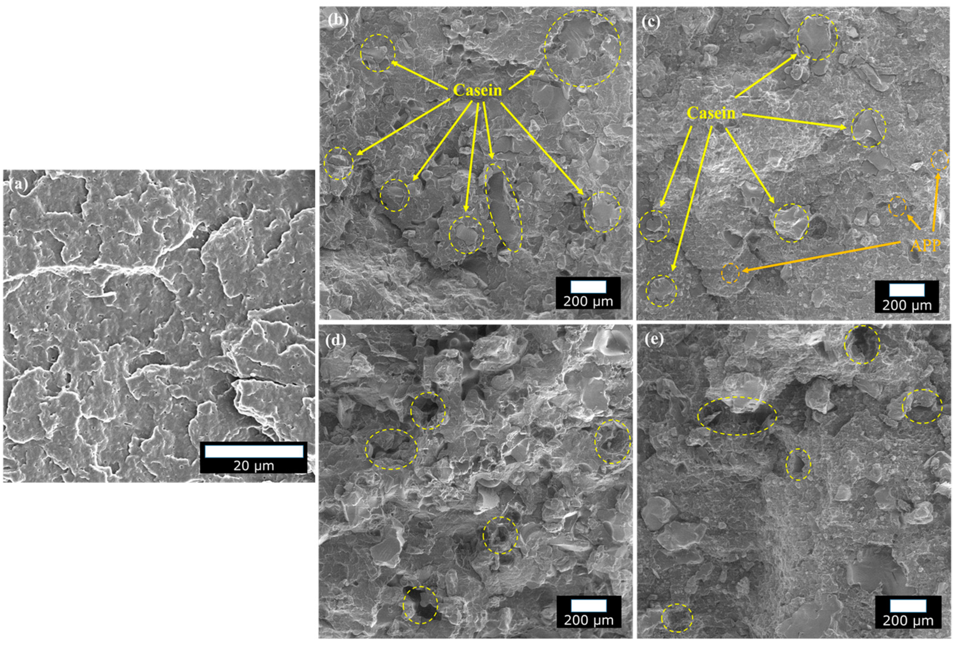 Polymers 12 02078 g012