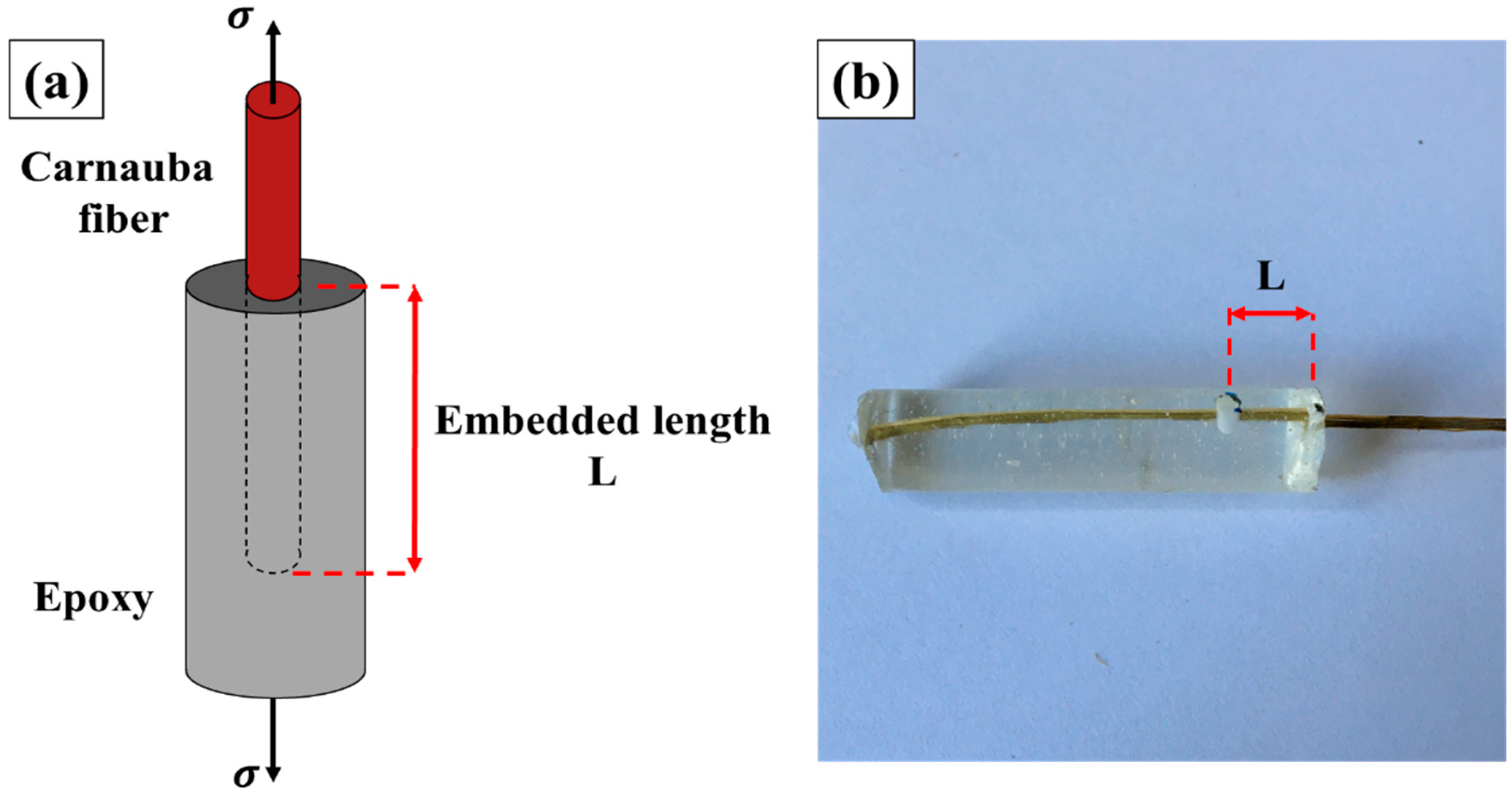 Polymers 12 02090 g004 Polymers 12 02090 g004