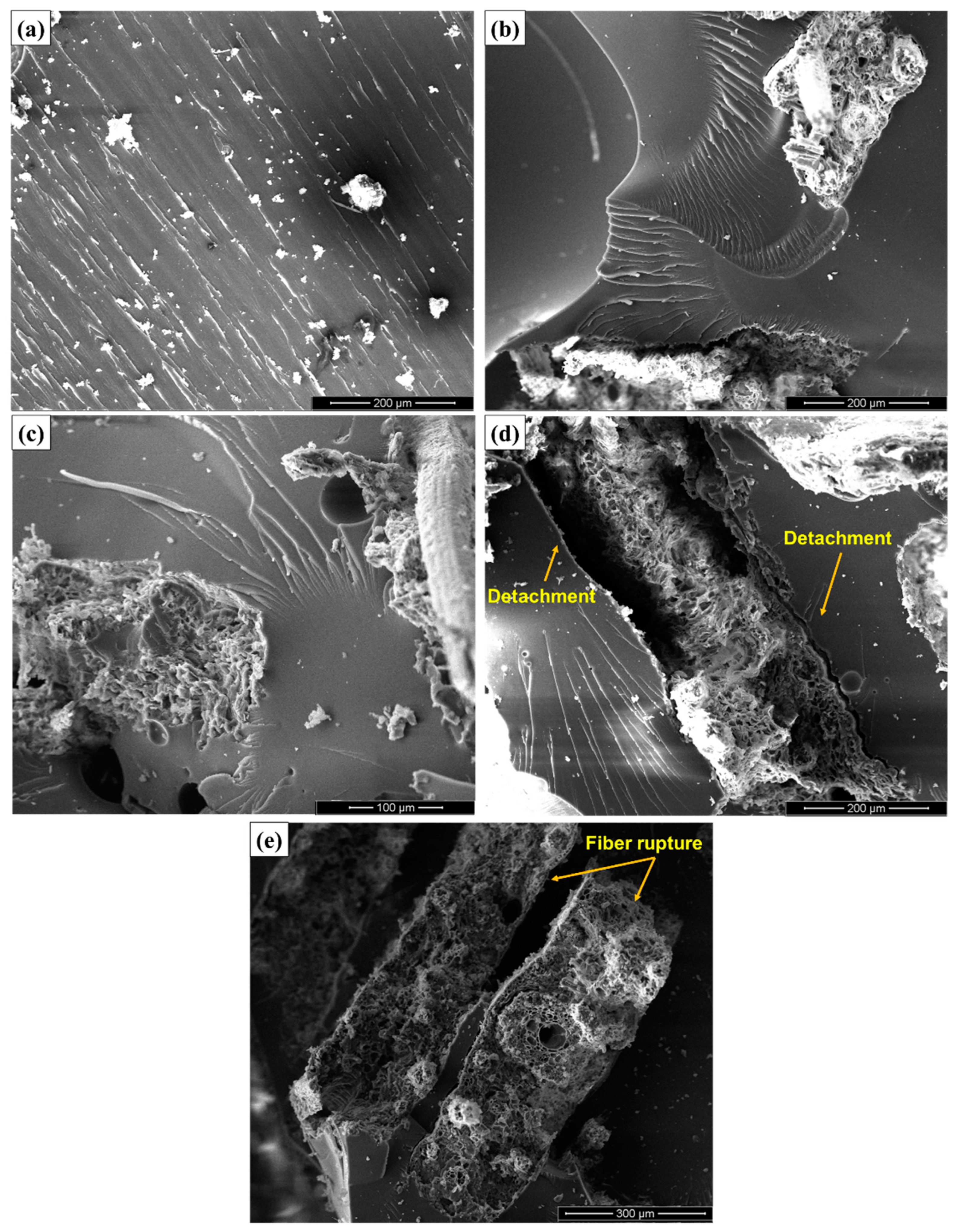Polymers 12 02090 g011 Polymers 12 02090 g011