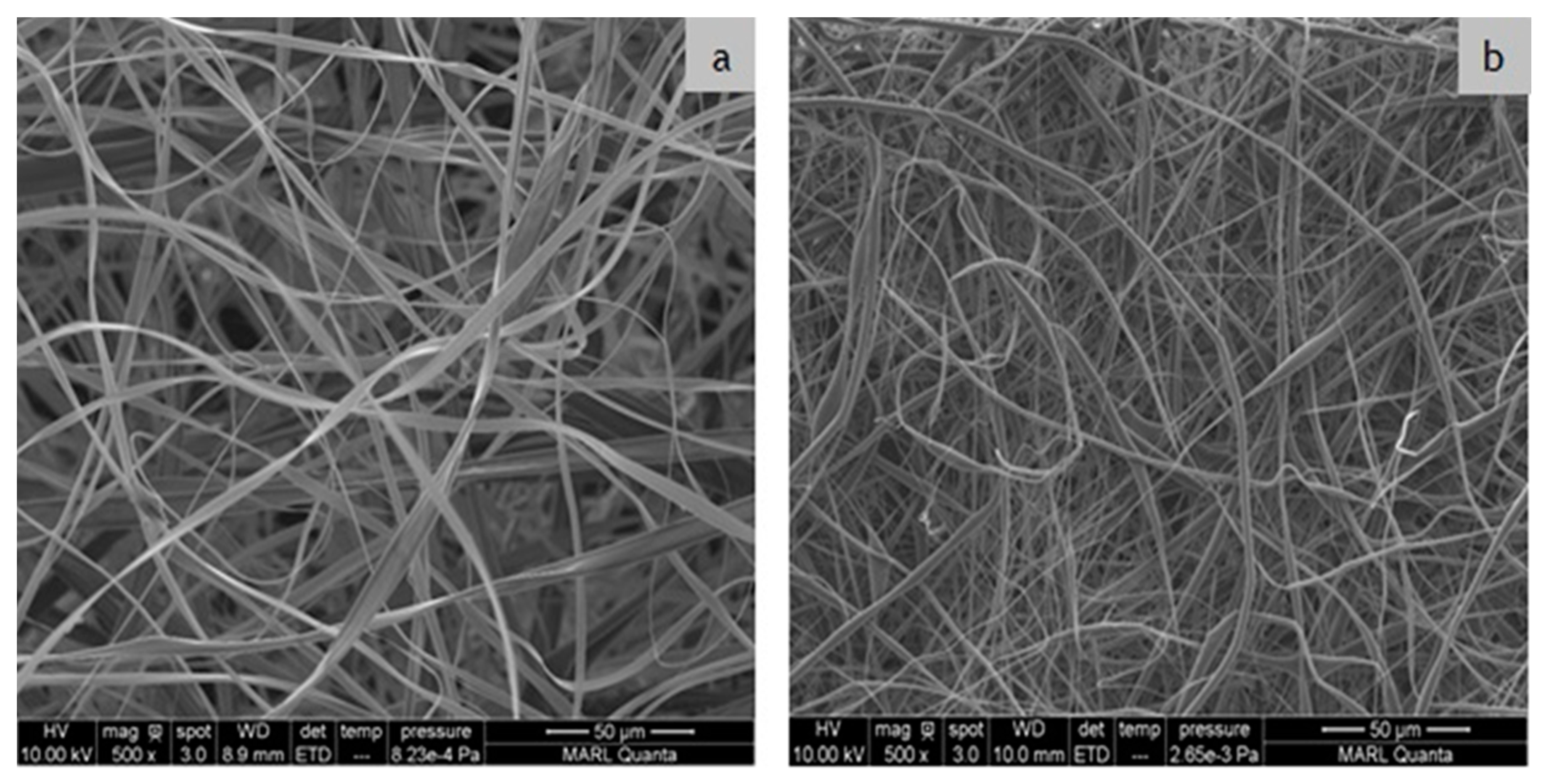 Polymers 12 02092 g002 Polymers 12 02092 g002