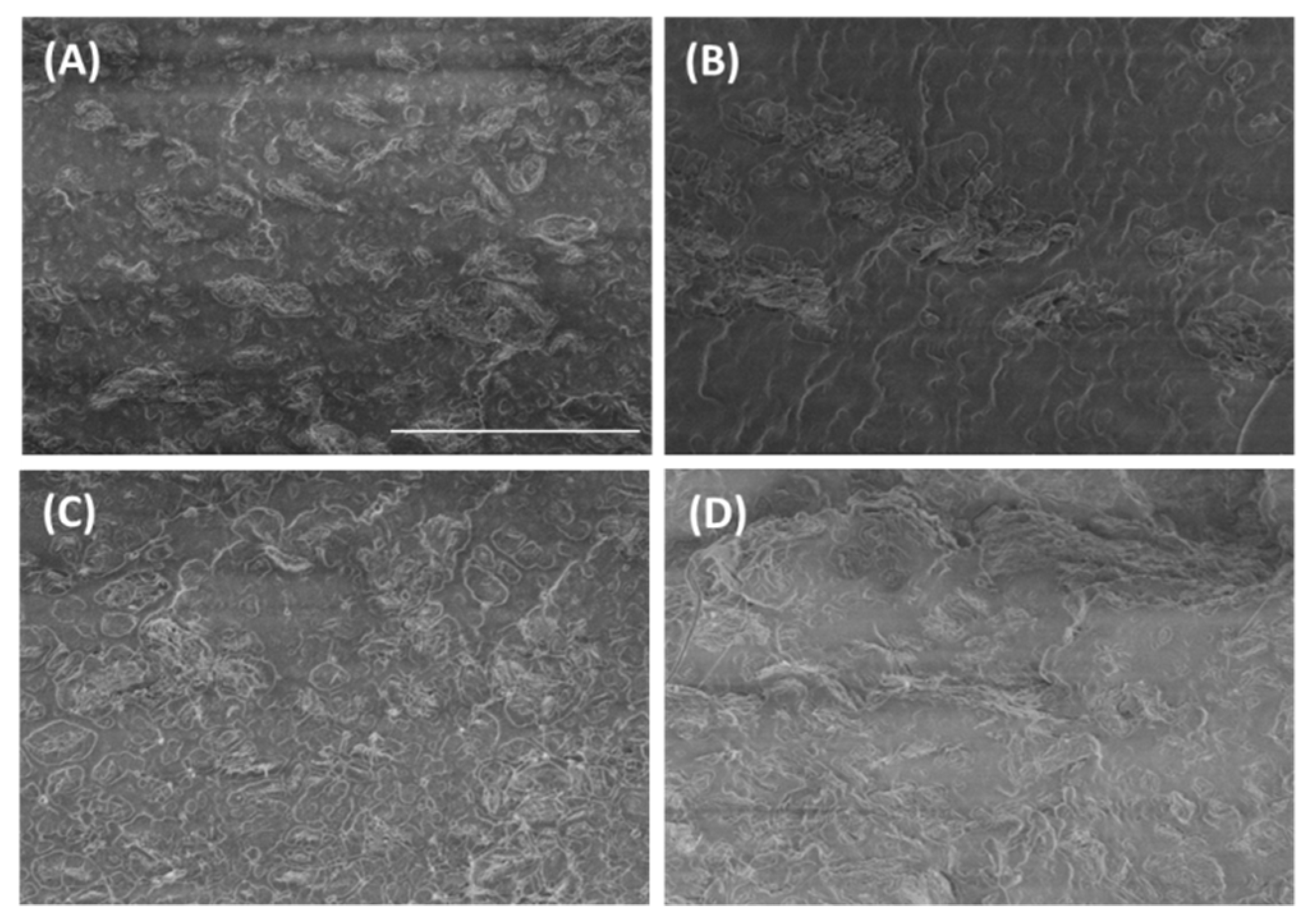 Polymers 12 02094 g001 Polymers 12 02094 g001