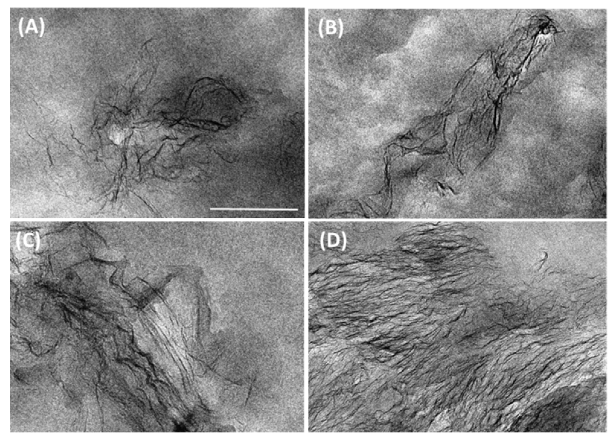 Polymers 12 02094 g002 Polymers 12 02094 g002