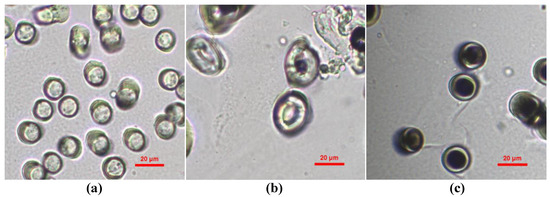 Polymers 12 02098 g001 550