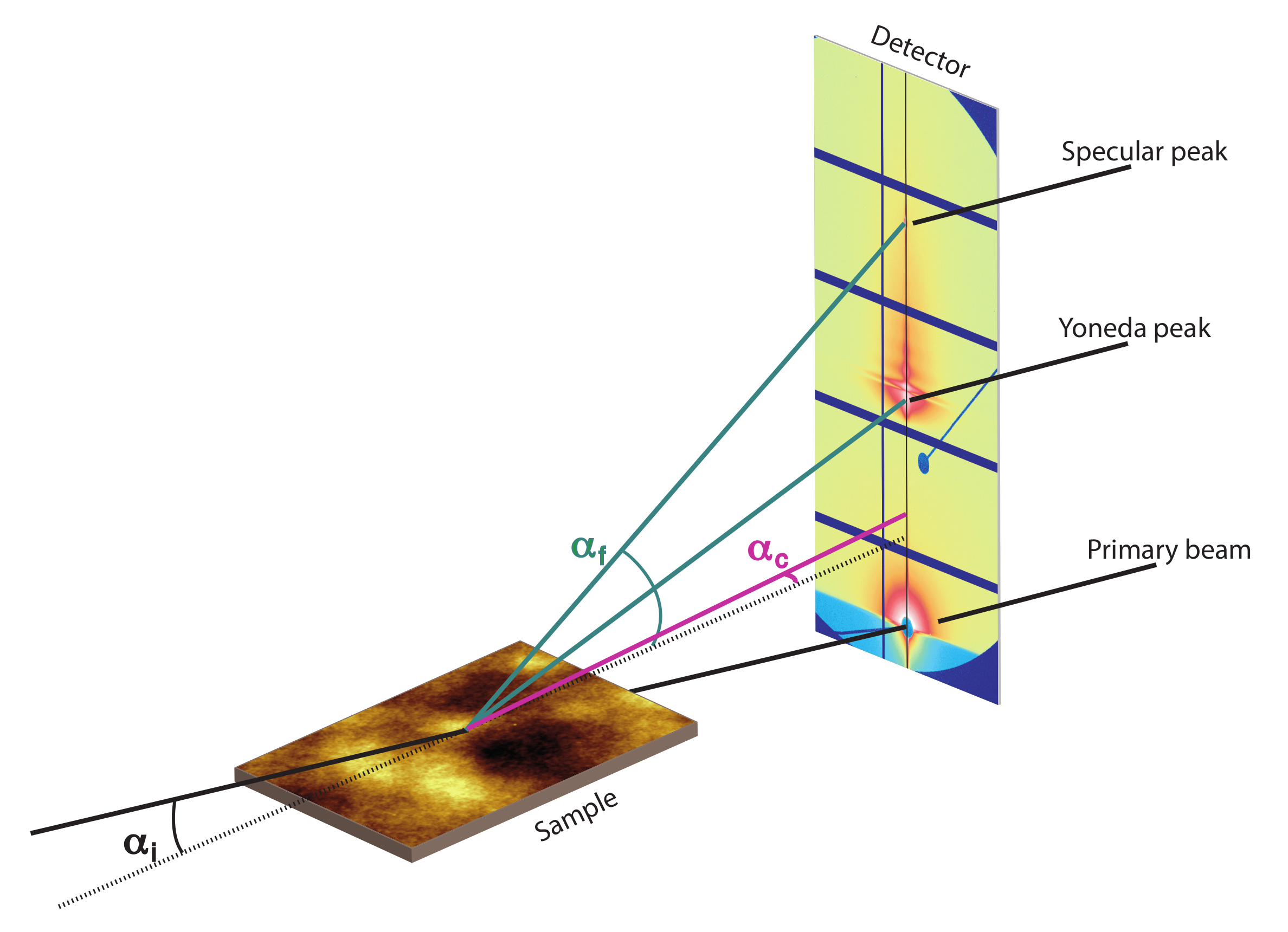 Polymers 12 02101 g002 Polymers 12 02101 g002