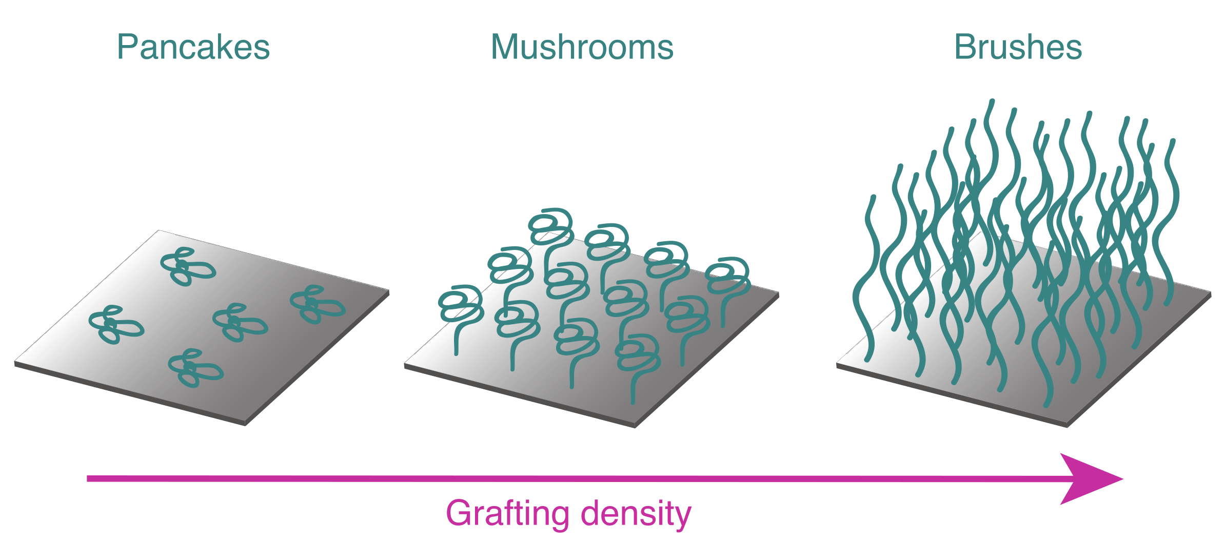 Polymers 12 02101 g003 Polymers 12 02101 g003