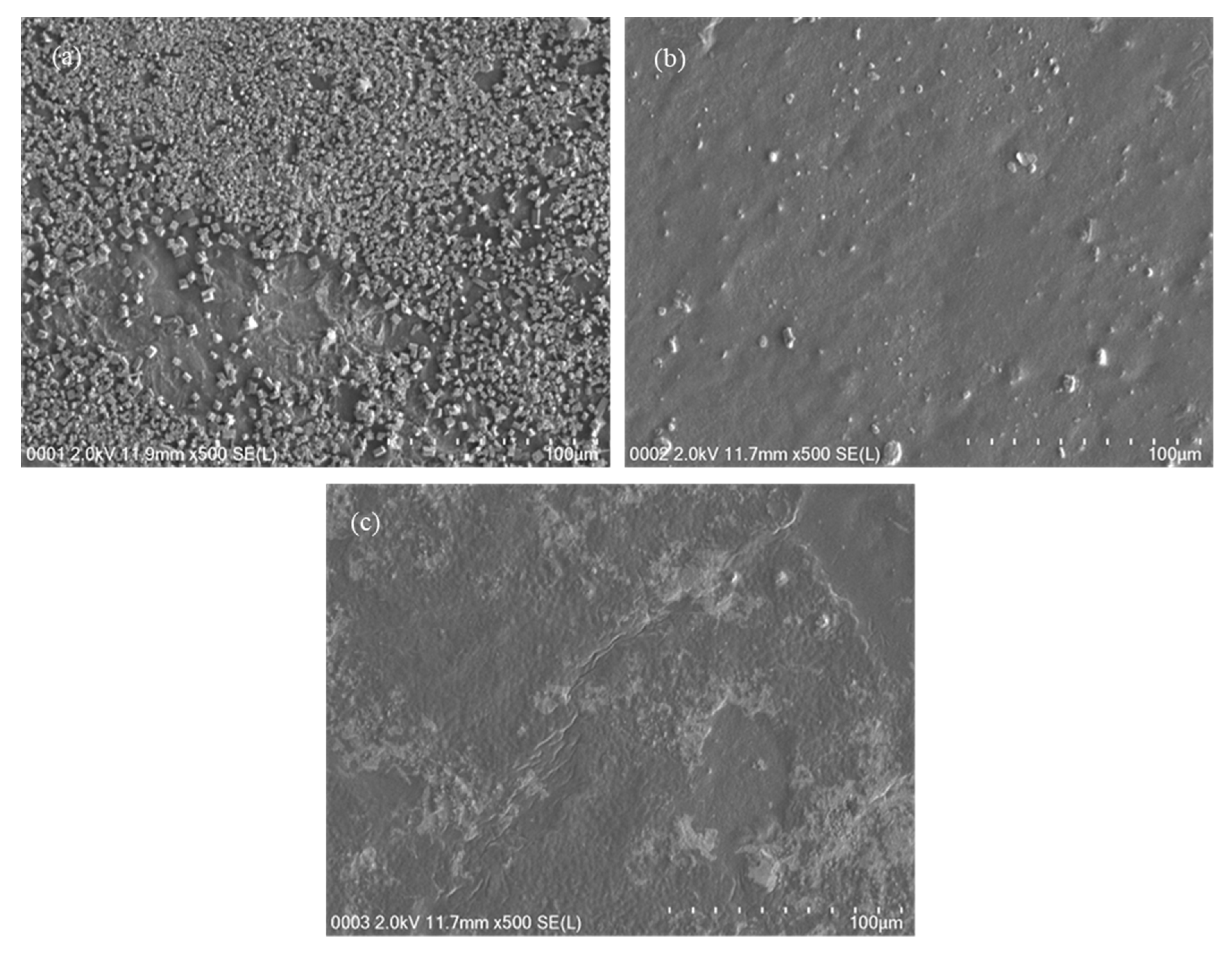 Polymers 12 02103 g002