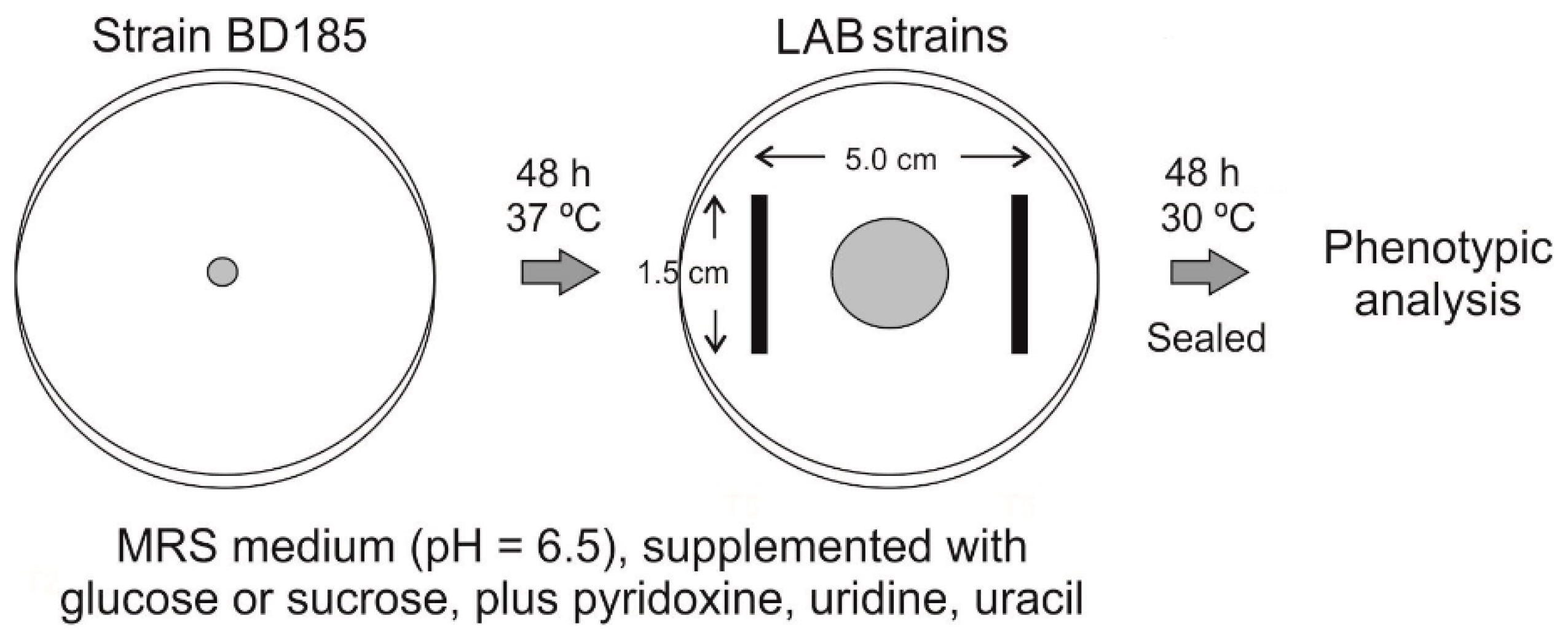 Polymers 12 02106 g001