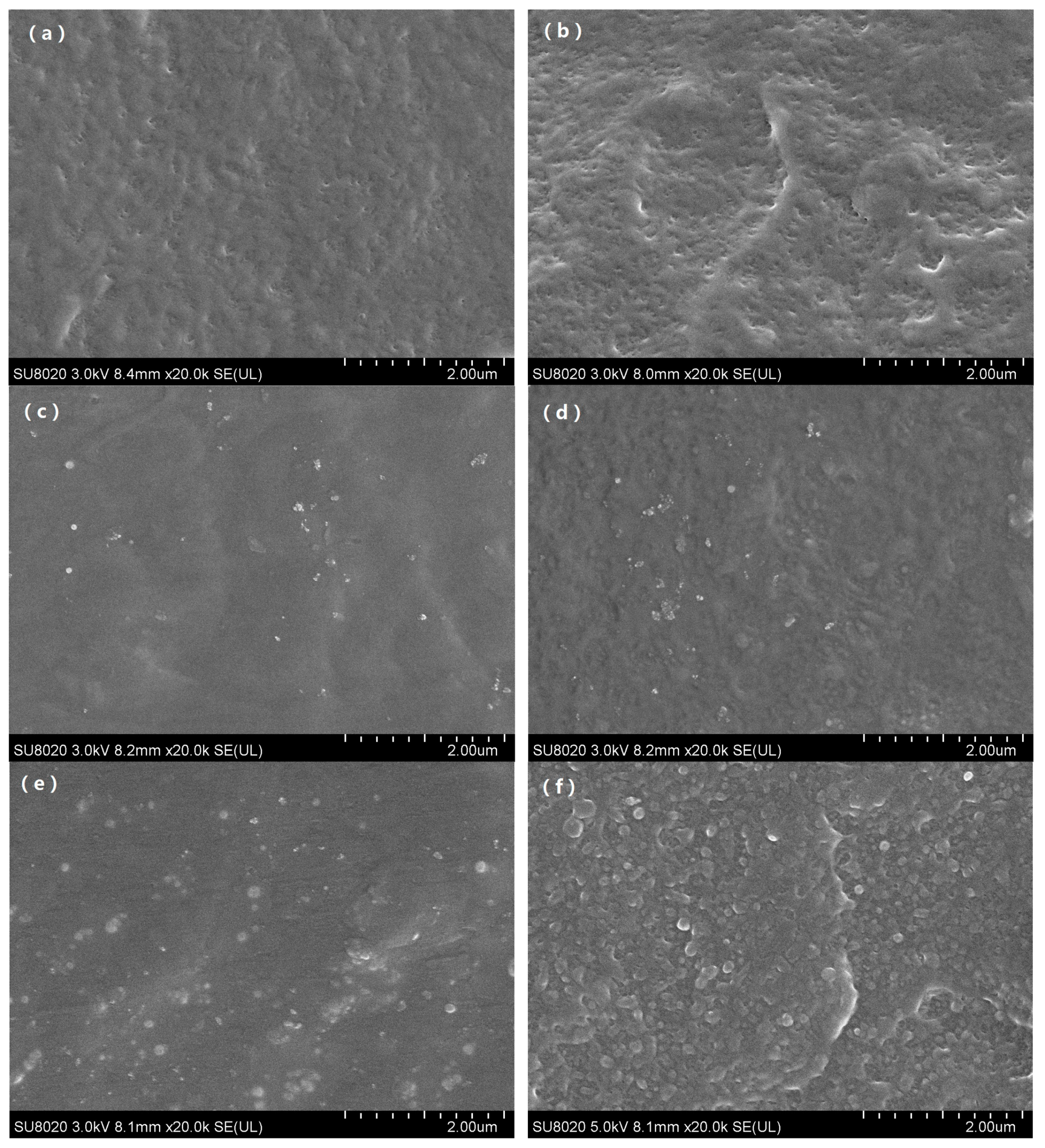 Polymers 12 02108 g001