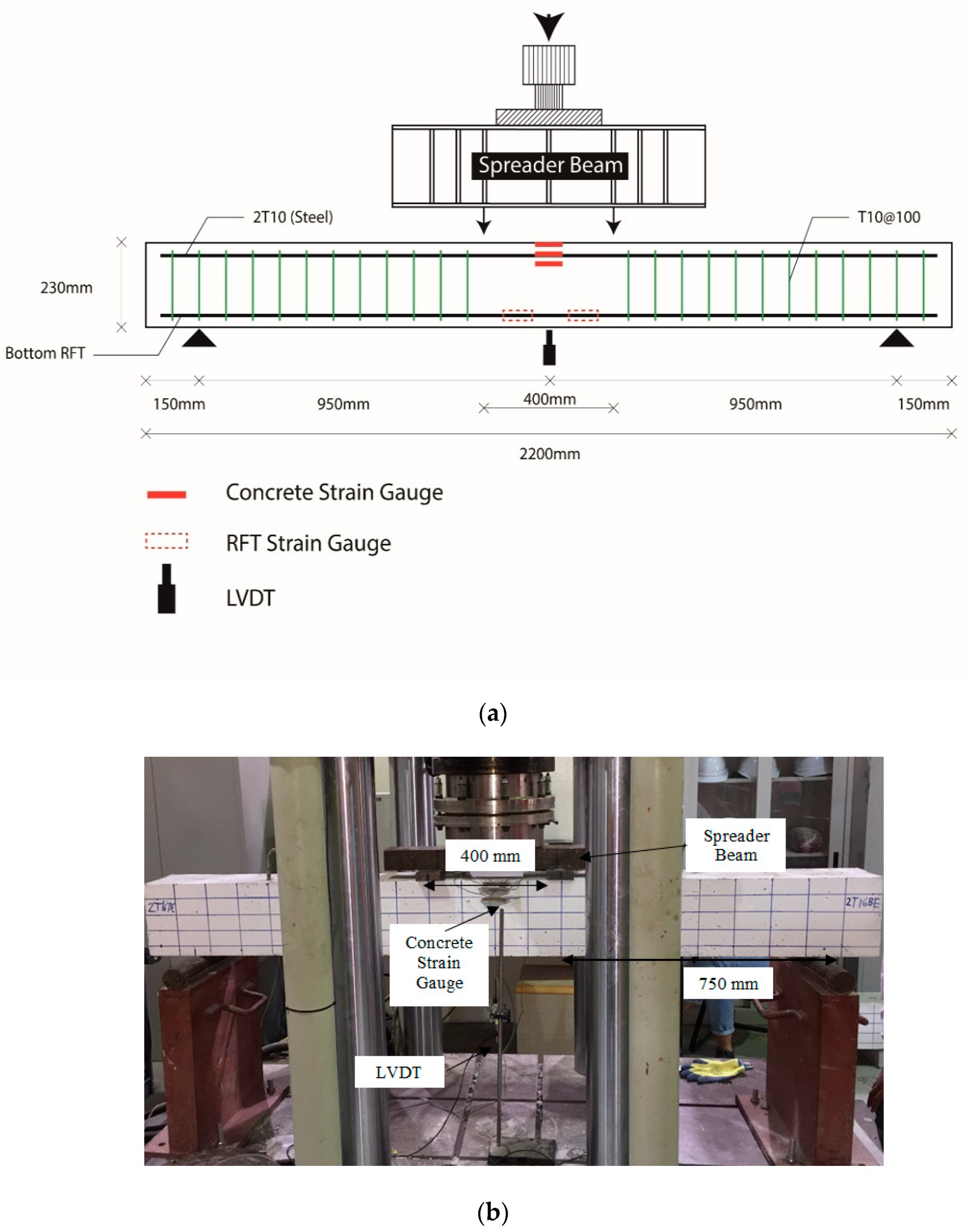 Polymers 12 02110 g003 550