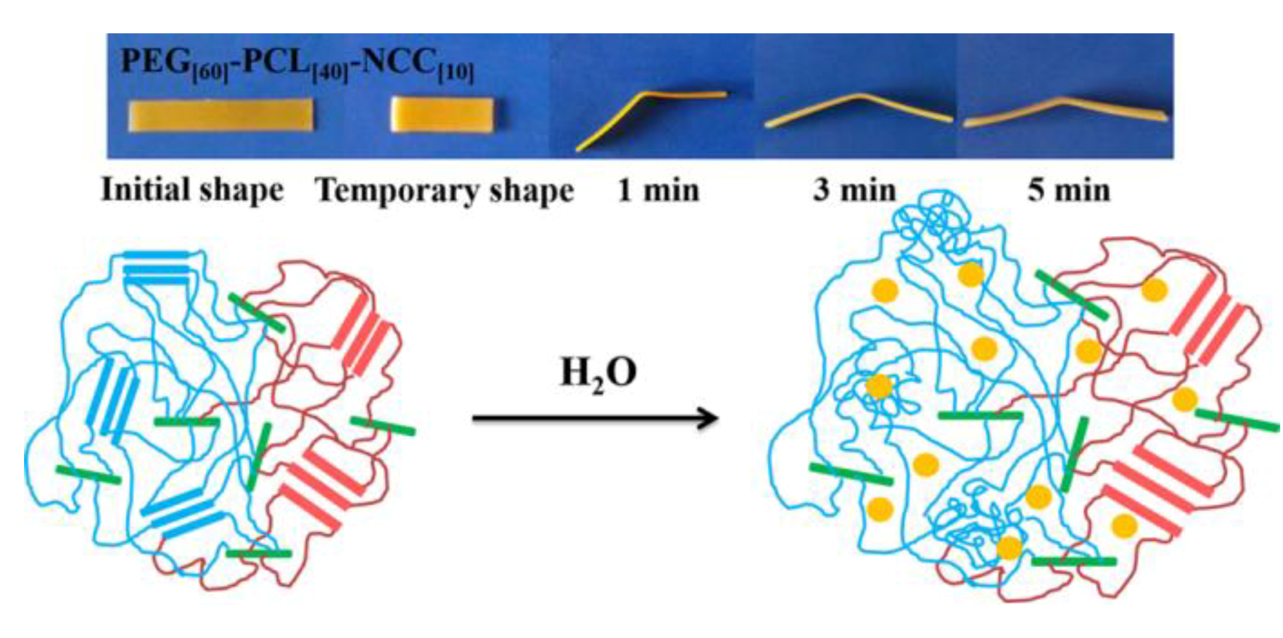 Polymers 12 02113 g002 Polymers 12 02113 g002