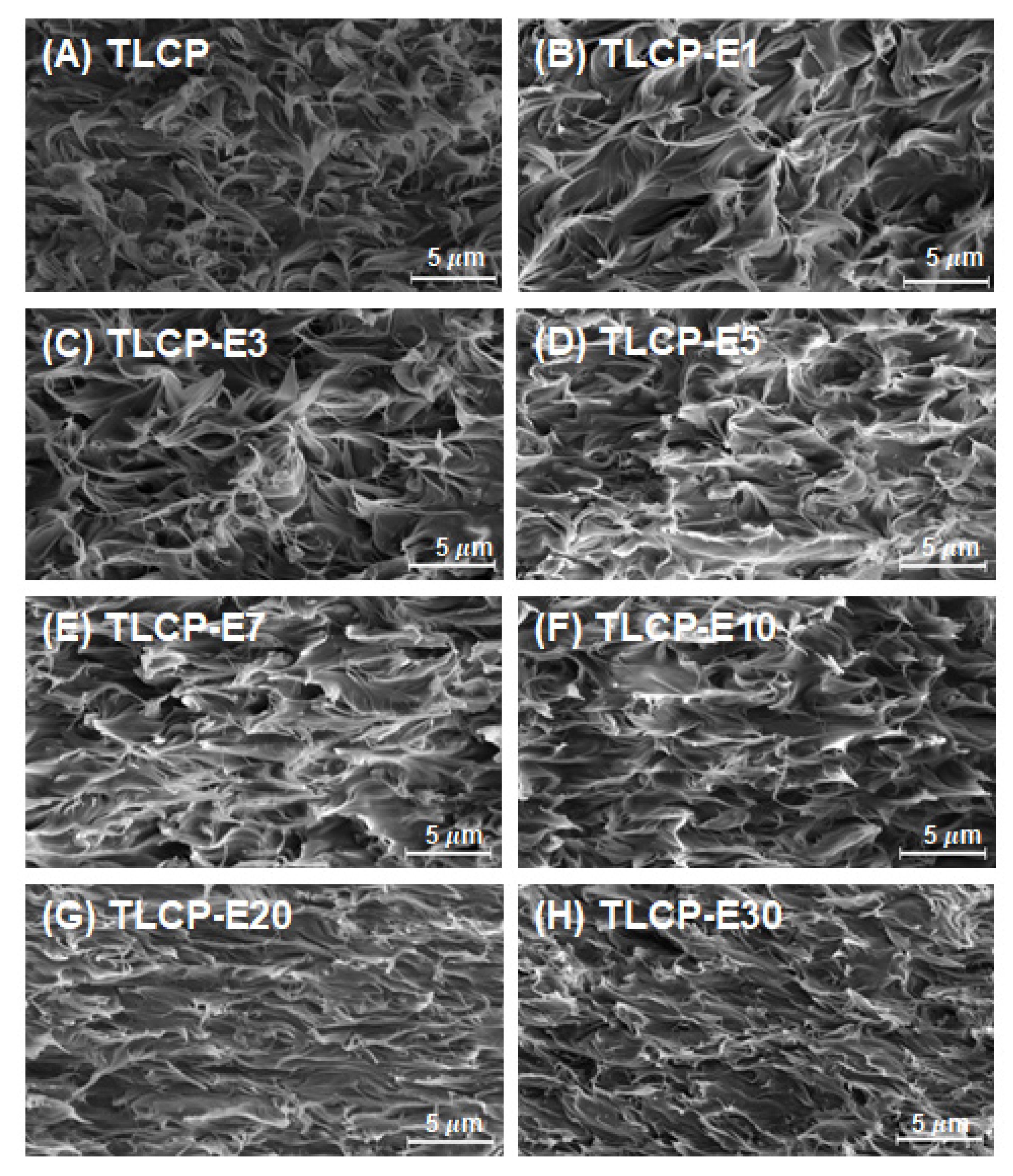 Polymers 12 02124 g002 Polymers 12 02124 g002