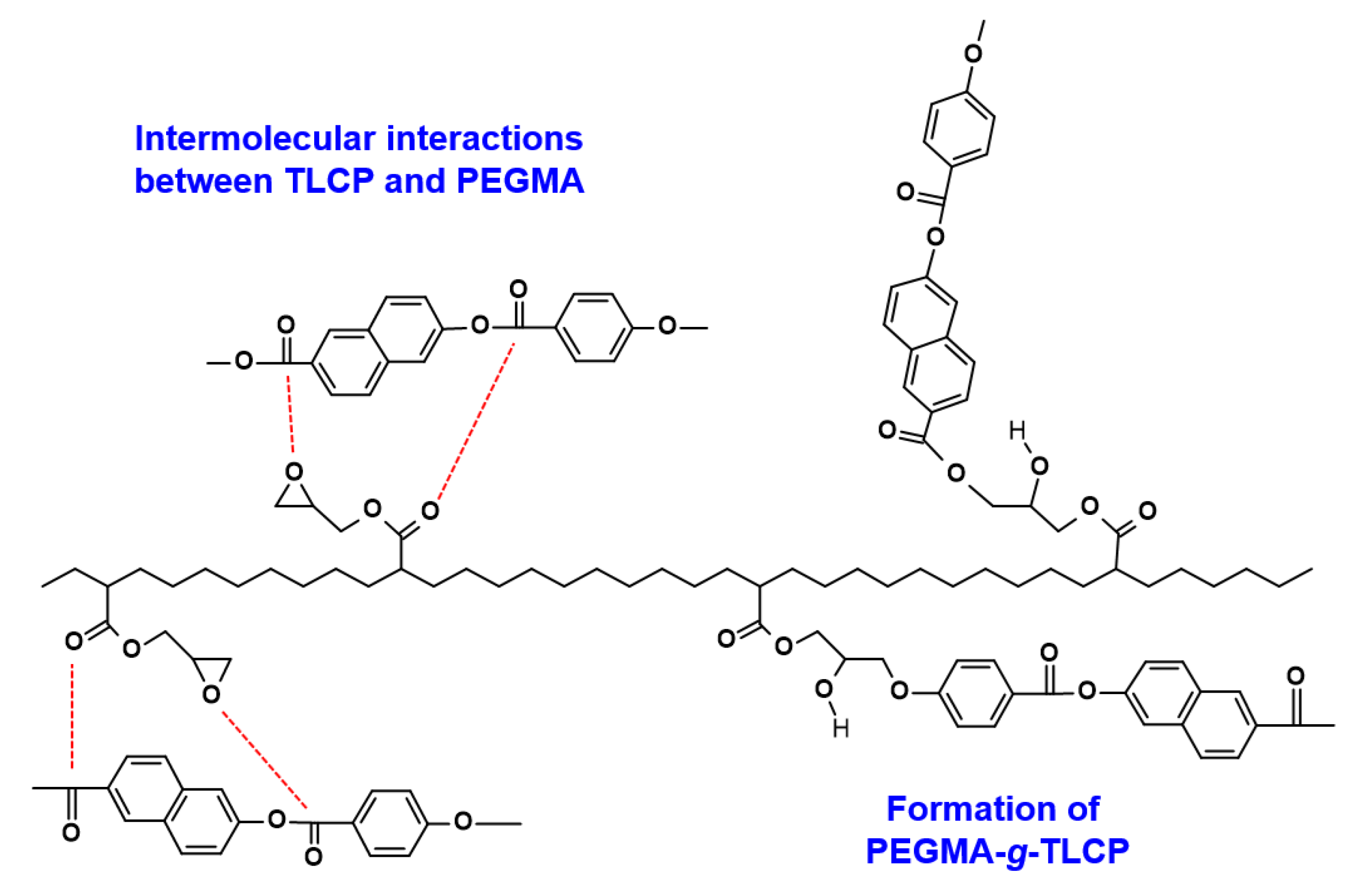 Polymers 12 02124 g004 Polymers 12 02124 g004