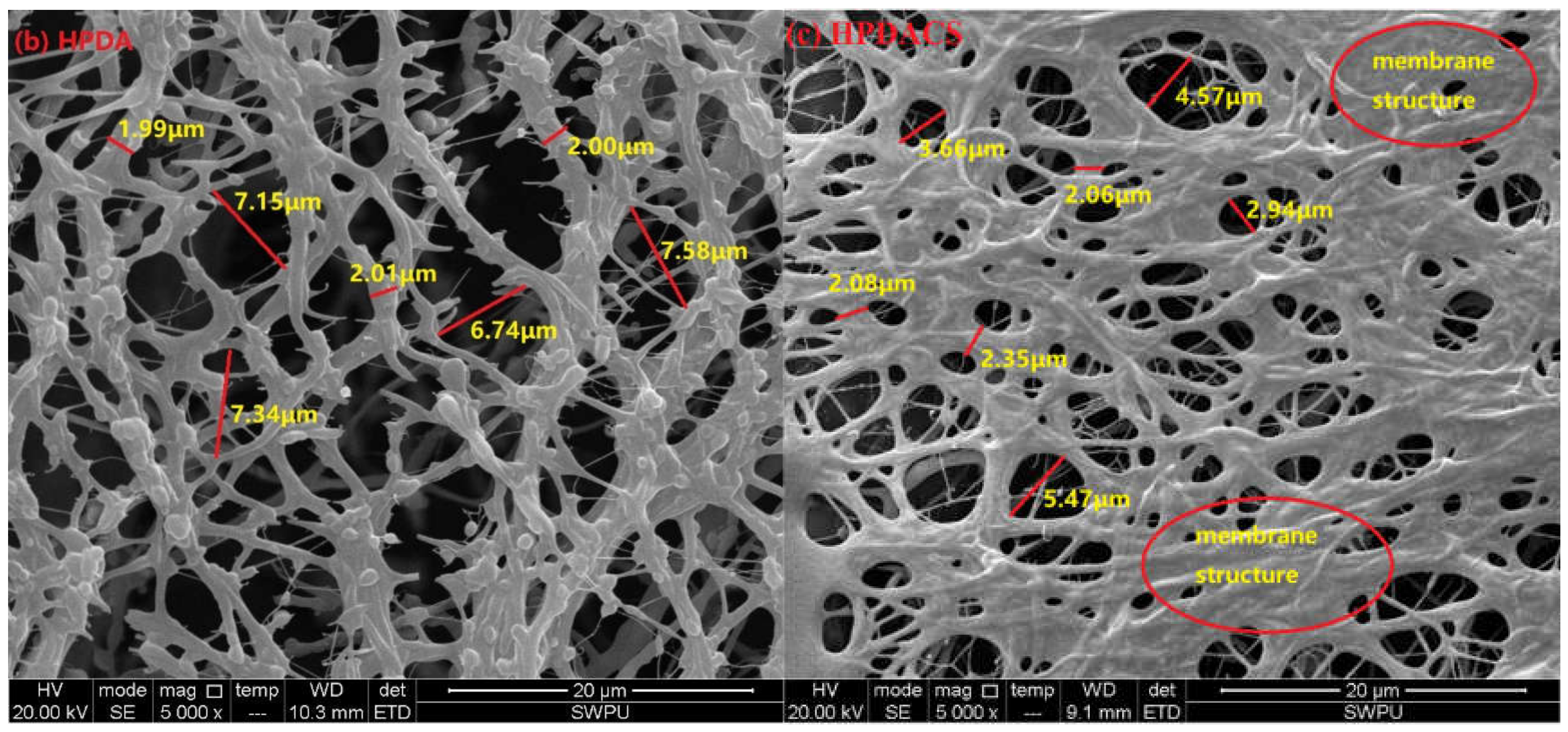 Polymers 12 02130 g010b Polymers 12 02130 g010b