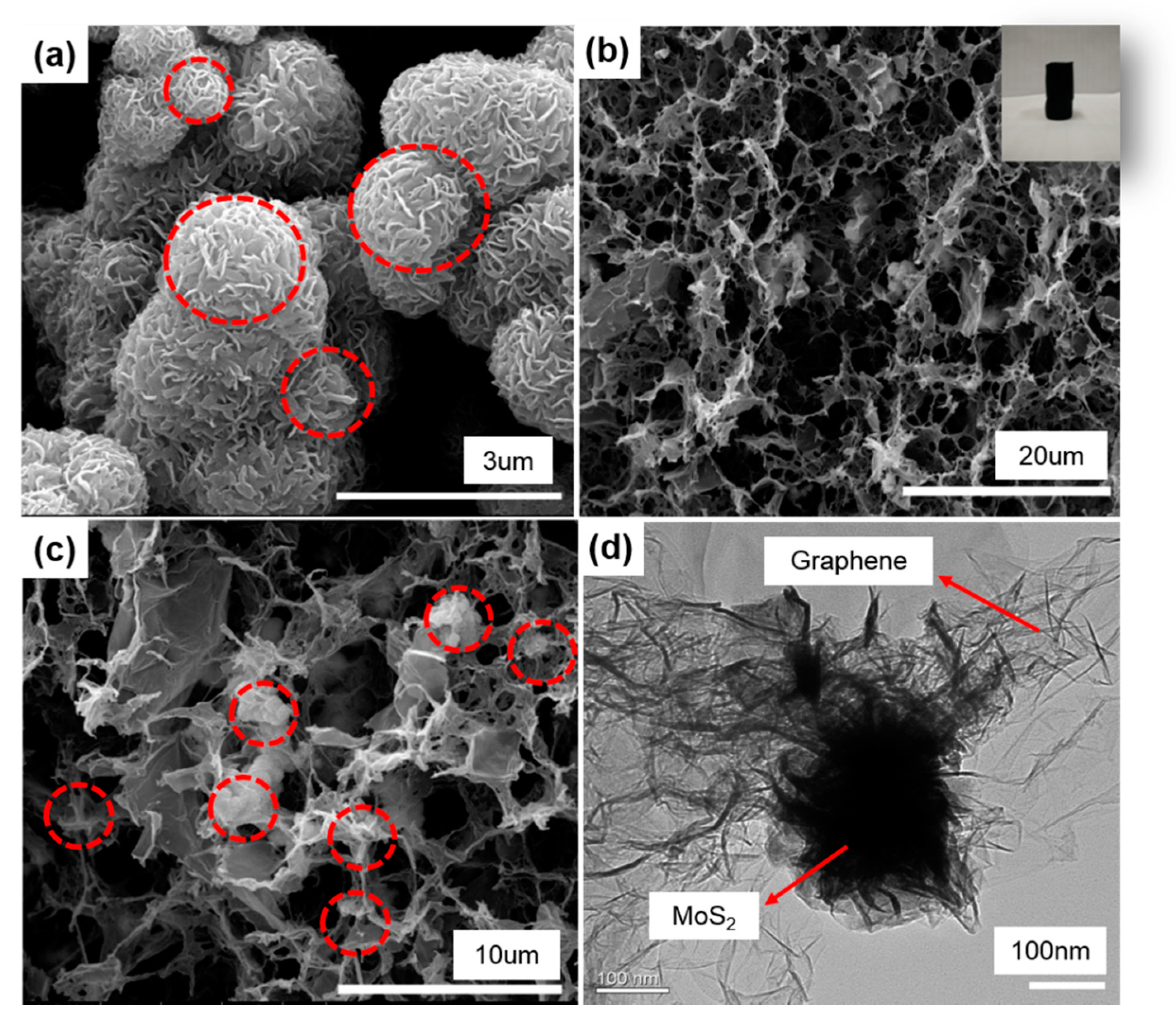 Polymers 12 02134 g003 Polymers 12 02134 g003