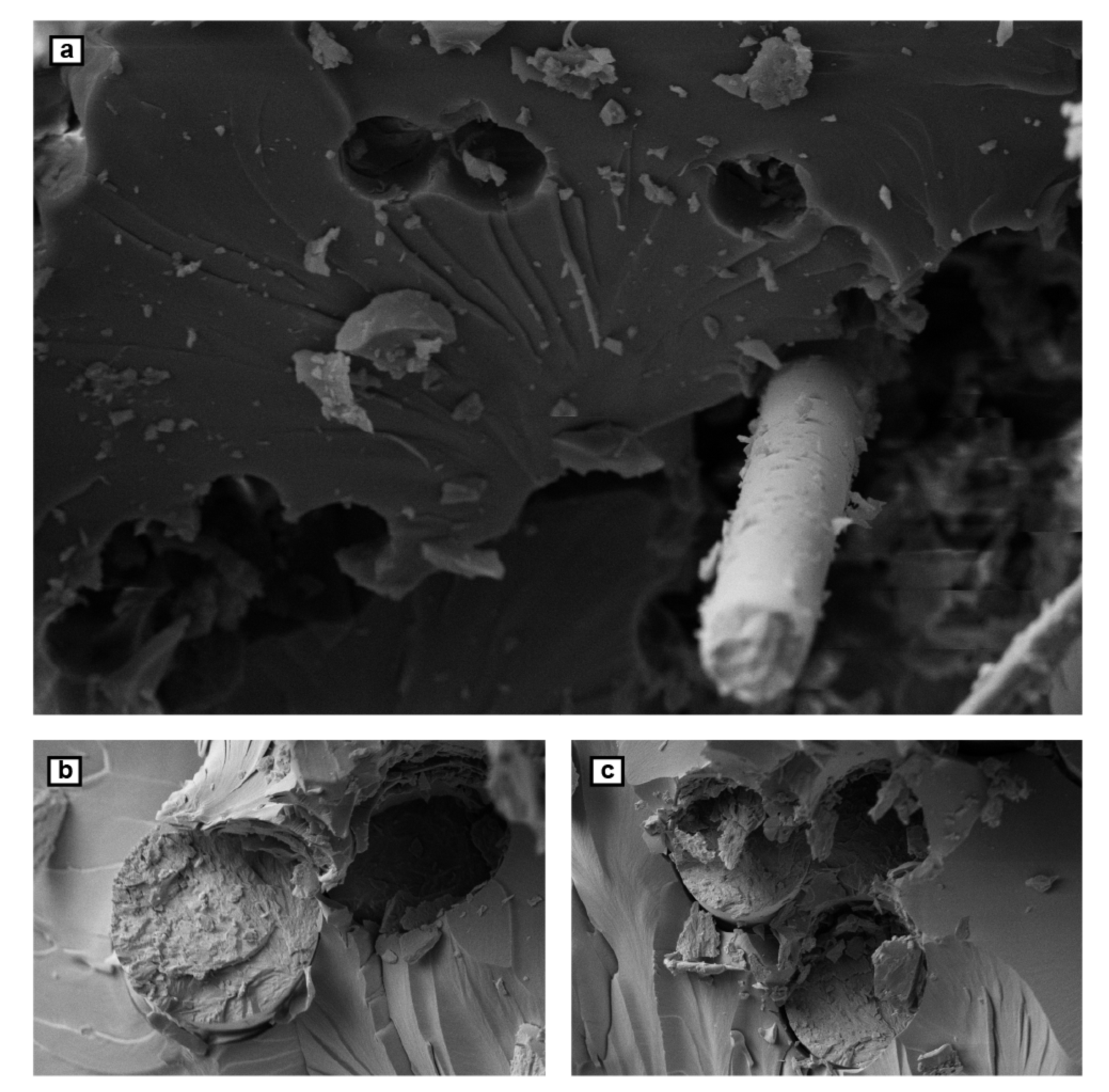 Polymers 12 02135 g003 Polymers 12 02135 g003