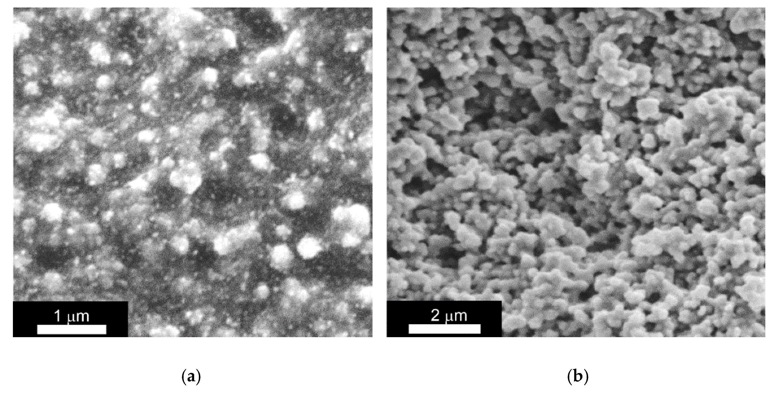 Polymers 12 02137 g008