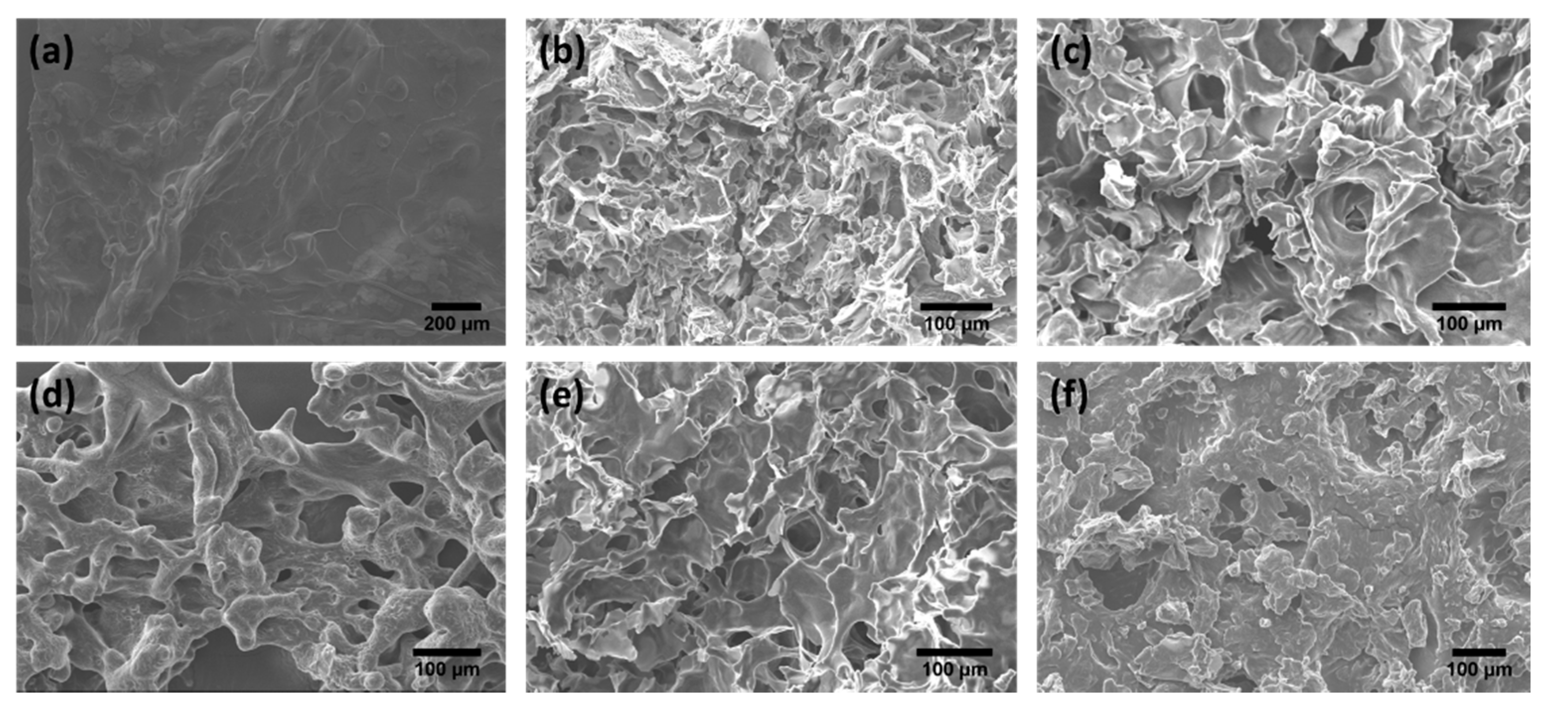 Polymers 12 02138 g004 Polymers 12 02138 g004