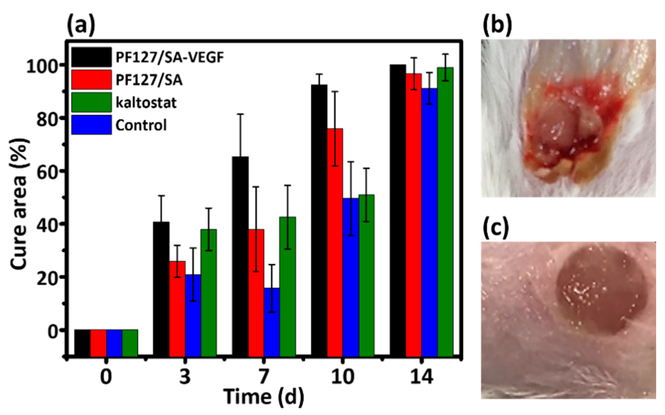 Polymers 12 02138 g007 Polymers 12 02138 g007