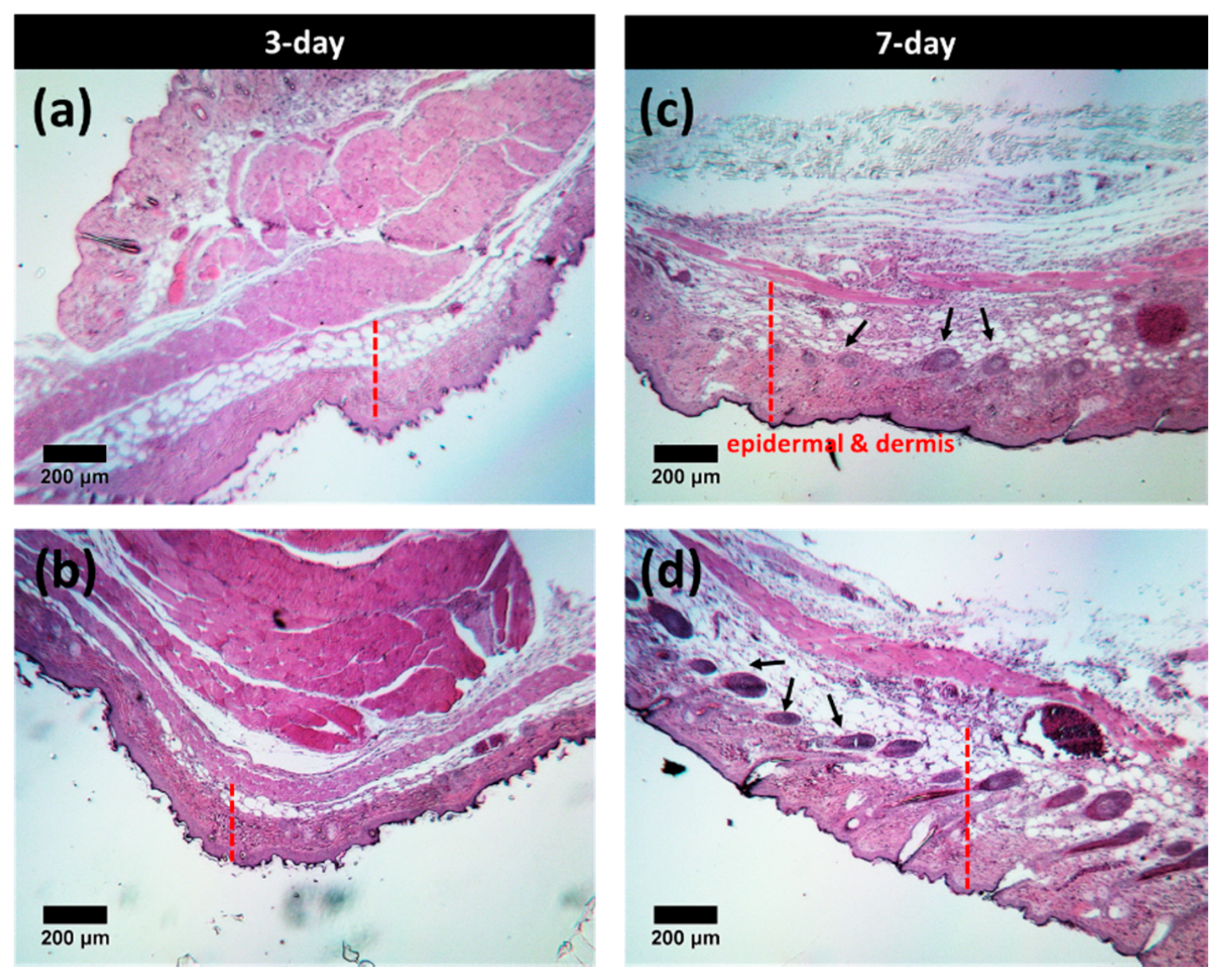 Polymers 12 02138 g008 Polymers 12 02138 g008