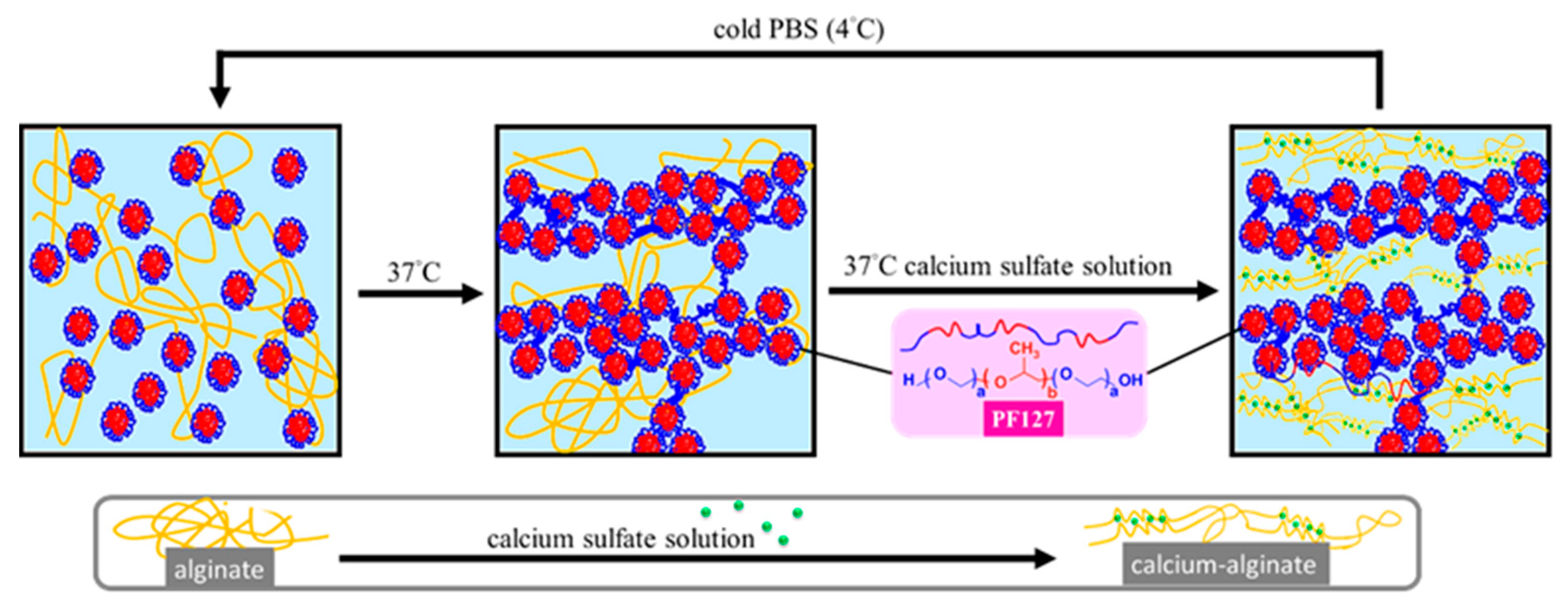 Polymers 12 02138 sch001 Polymers 12 02138 sch001