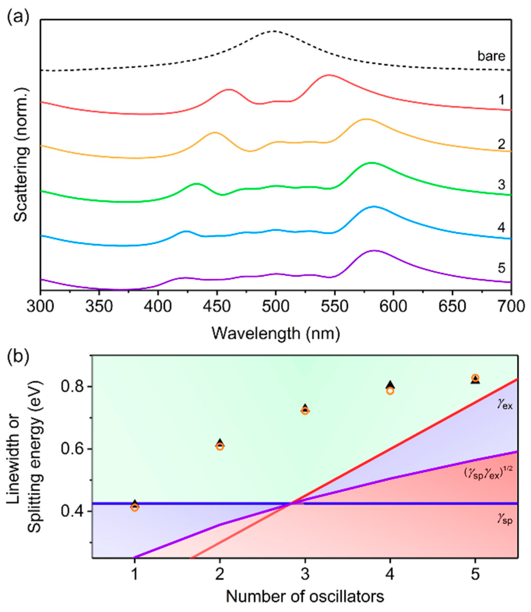 Polymers Free Full Text Strong Plasmon Exciton Coupling In Ag Nanoparticle Conjugated Polymer Core Shell Hybrid Nanostructures Html