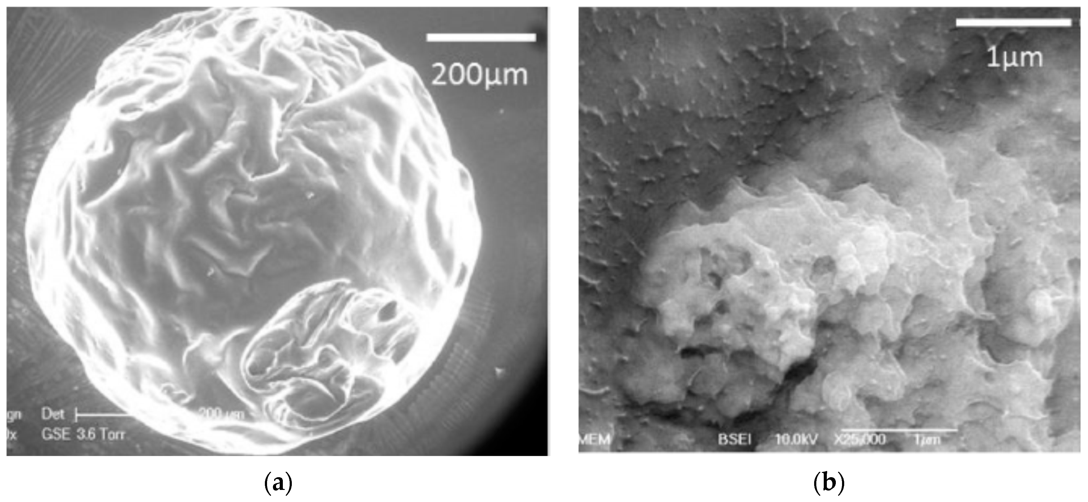 Polymers 12 02142 g005