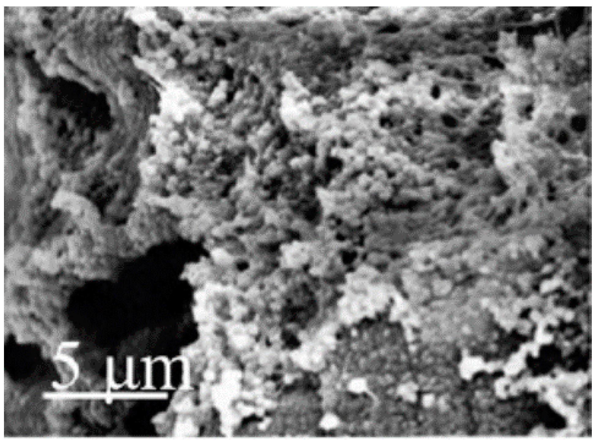 Polymers 12 02142 g009