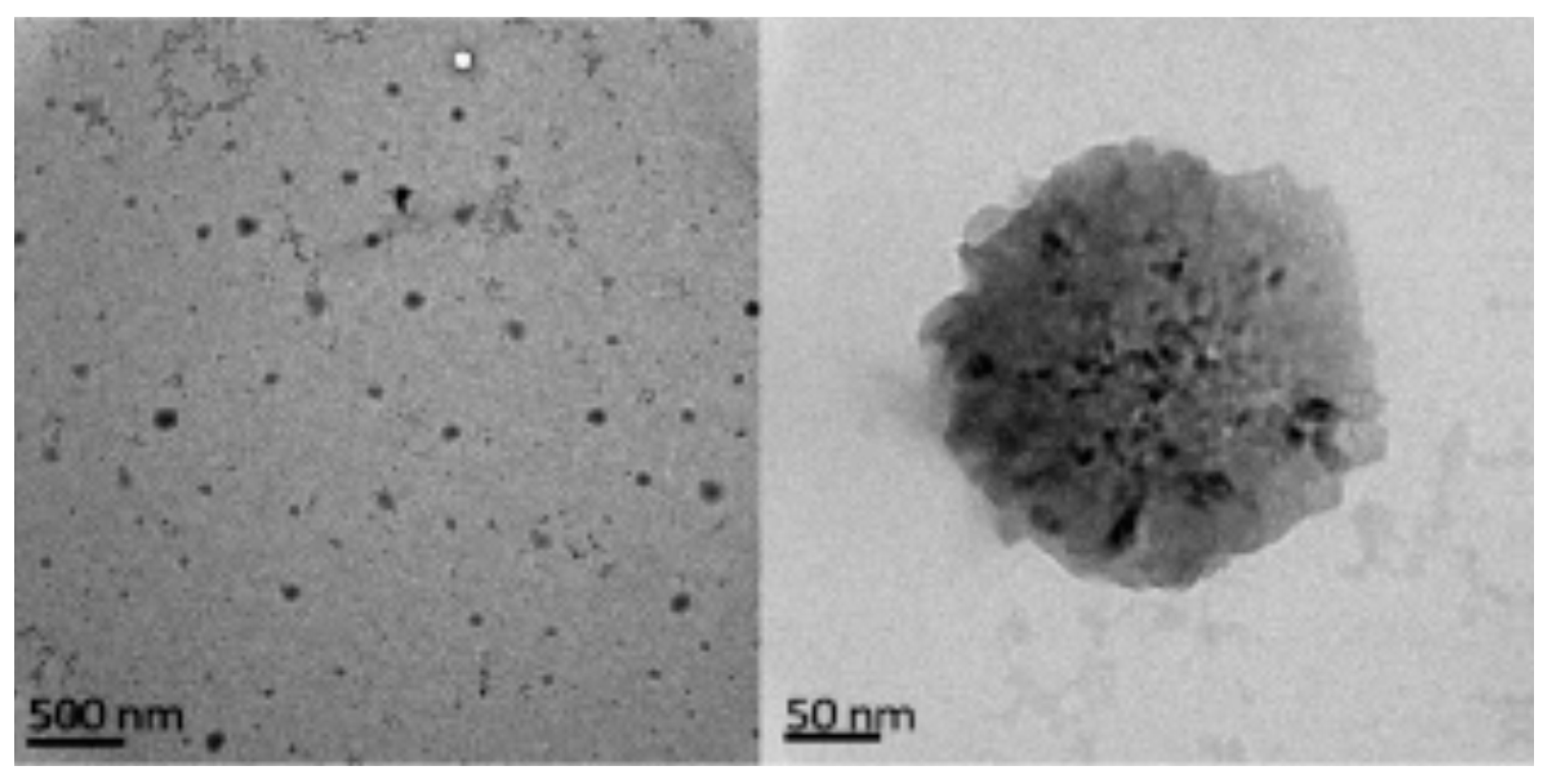 Polymers 12 02142 g013