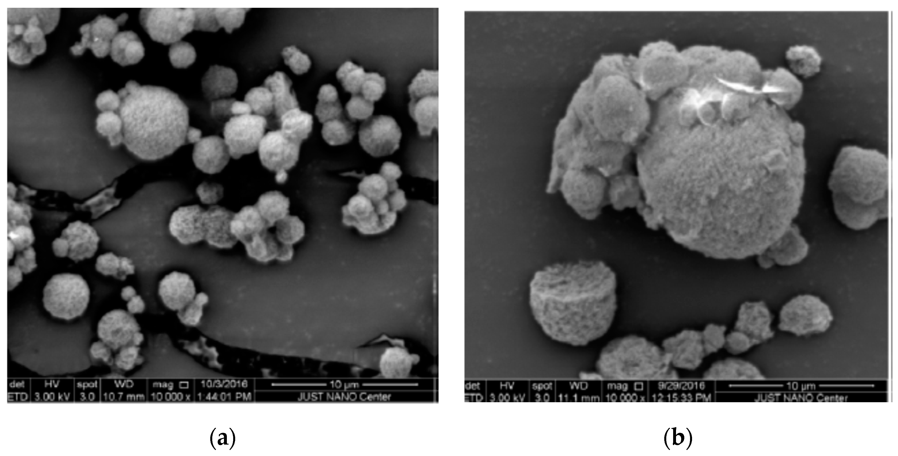 Polymers 12 02142 g019