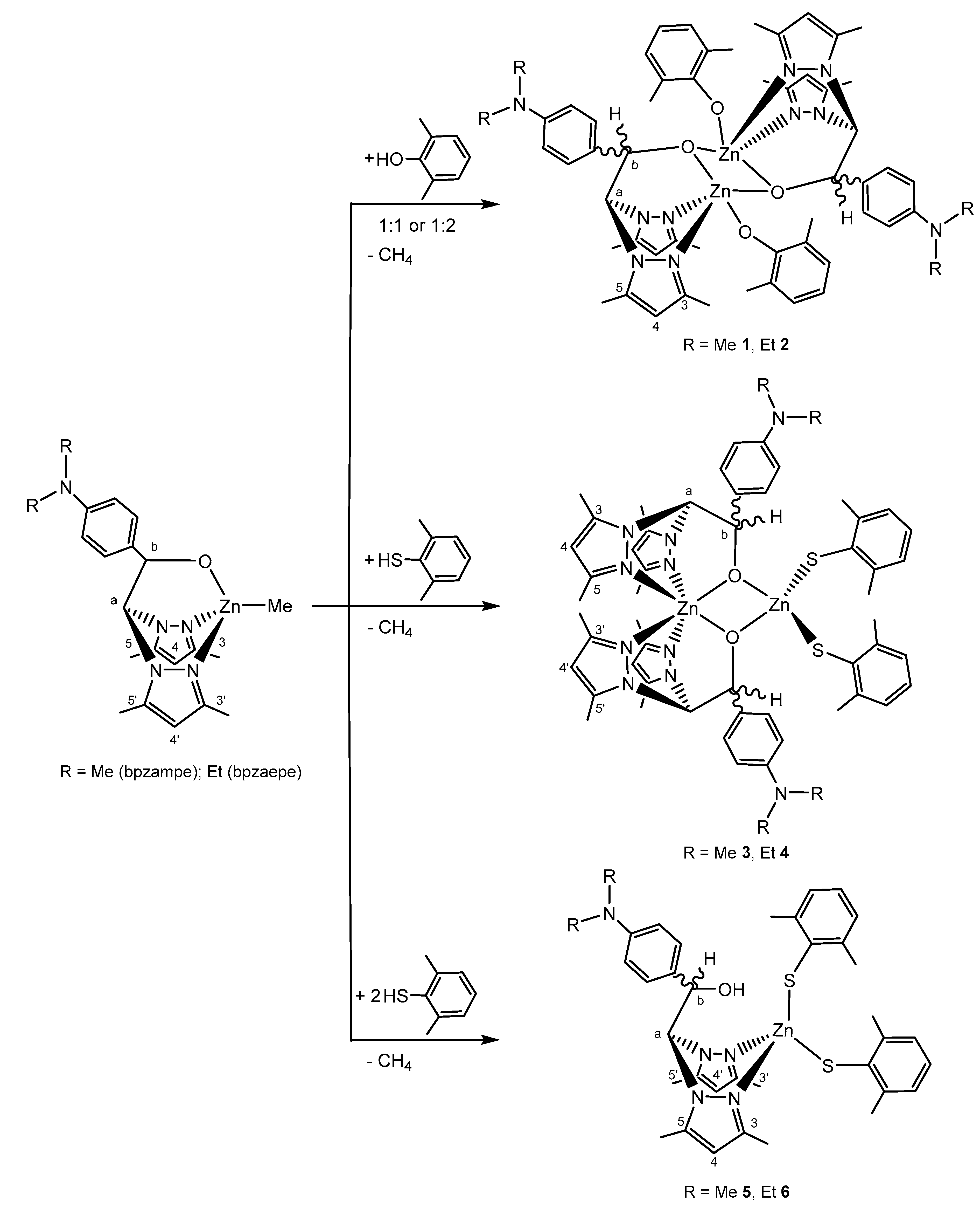 Polymers 12 02148 sch002 Polymers 12 02148 sch002
