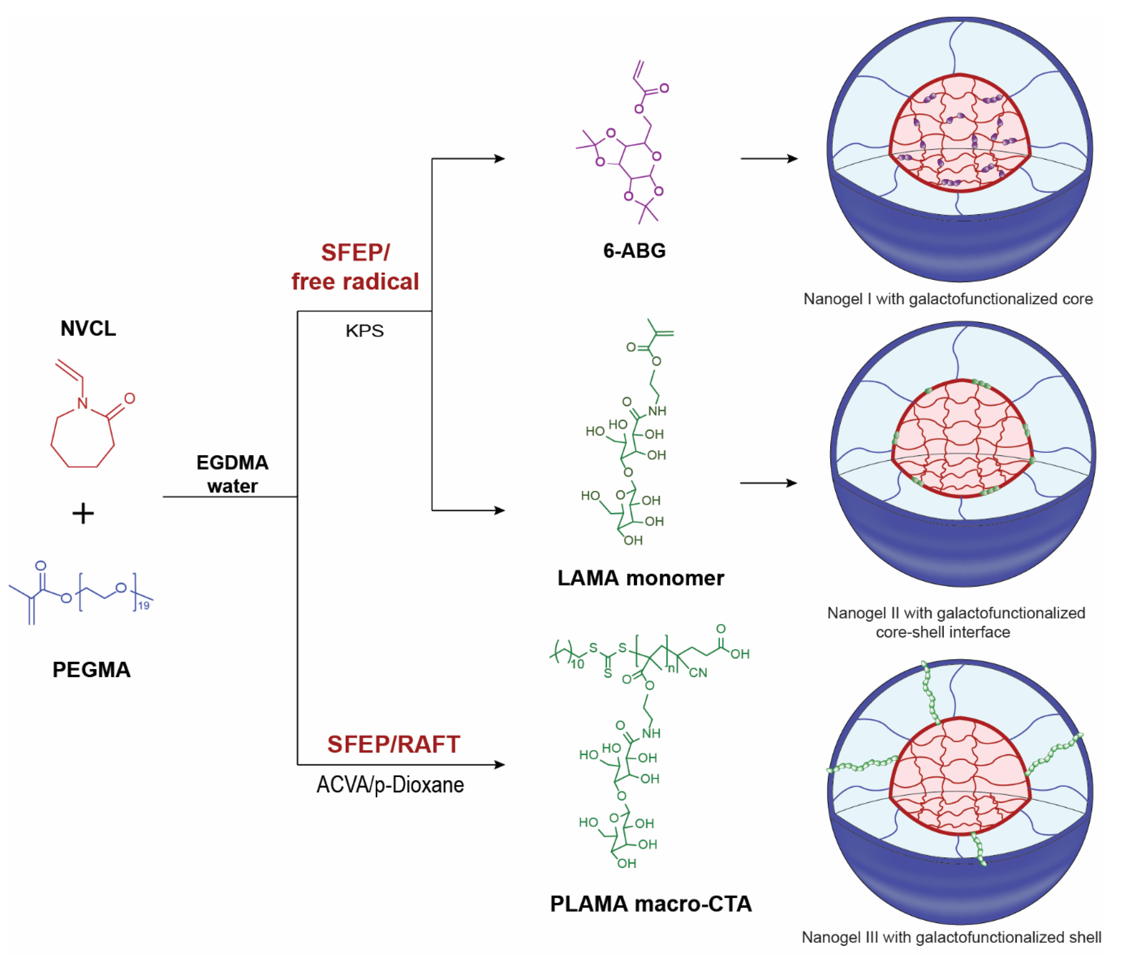 Polymers 12 02150 sch001 Polymers 12 02150 sch001