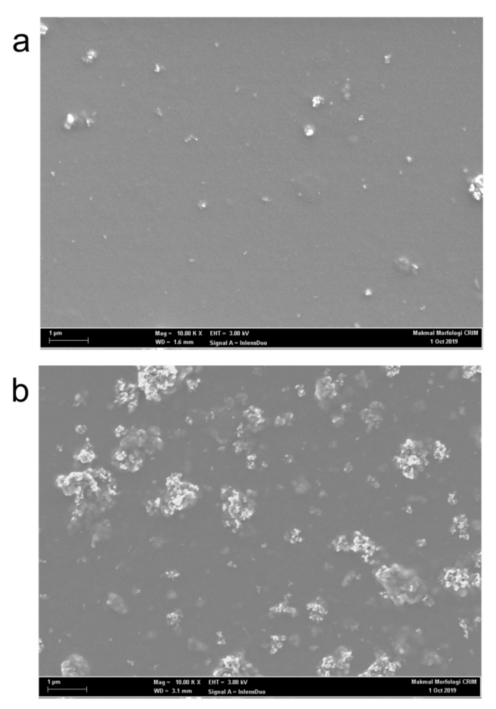 Polymers 12 02154 g007 Polymers 12 02154 g007