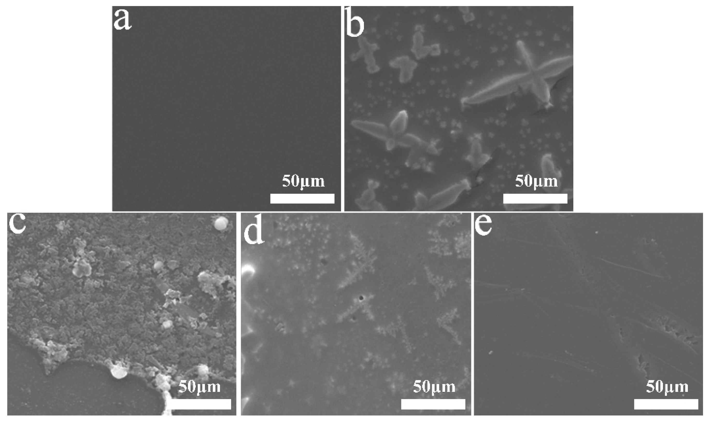 Polymers 12 02164 g003 Polymers 12 02164 g003