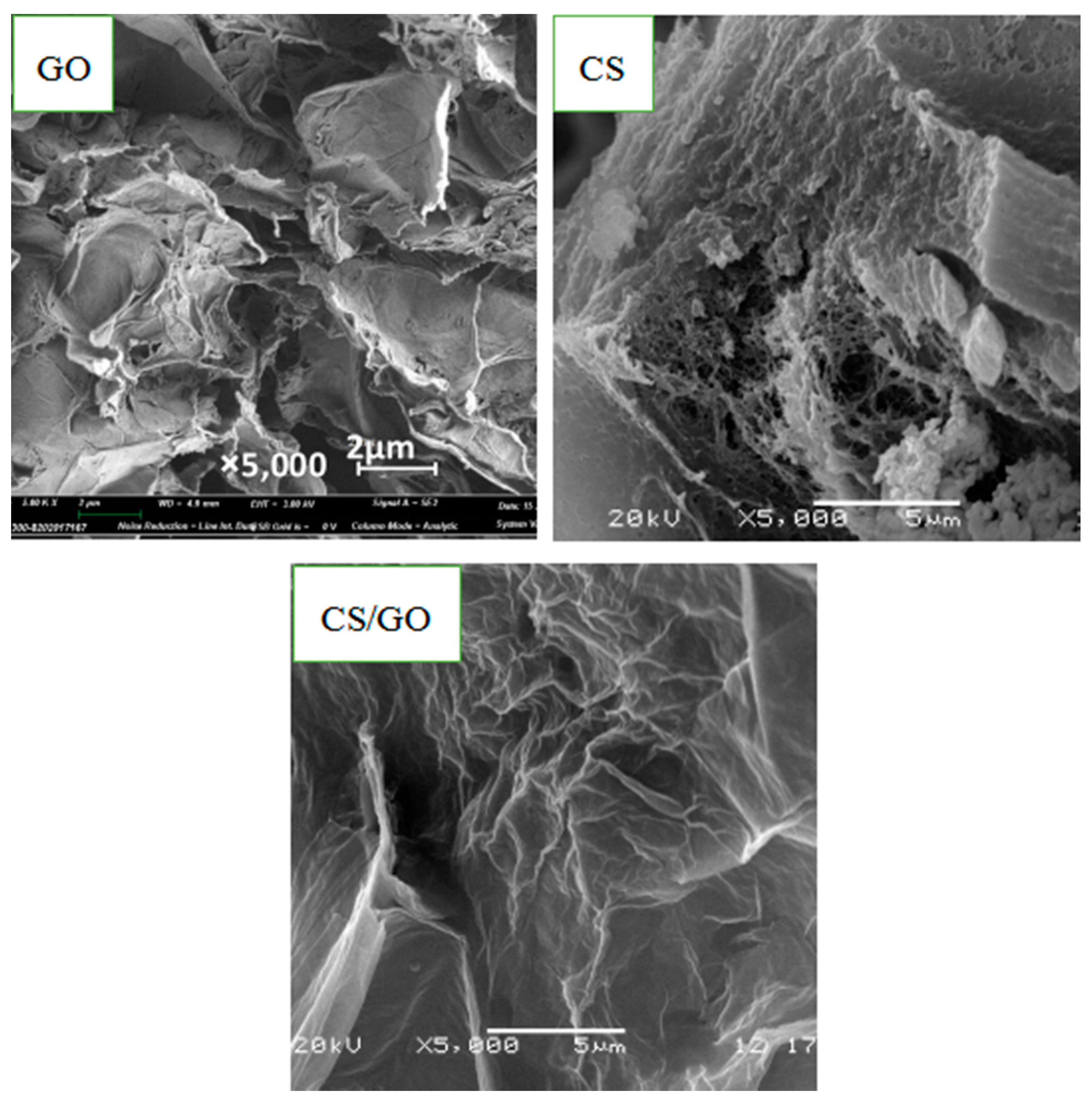 Polymers 12 02169 g005