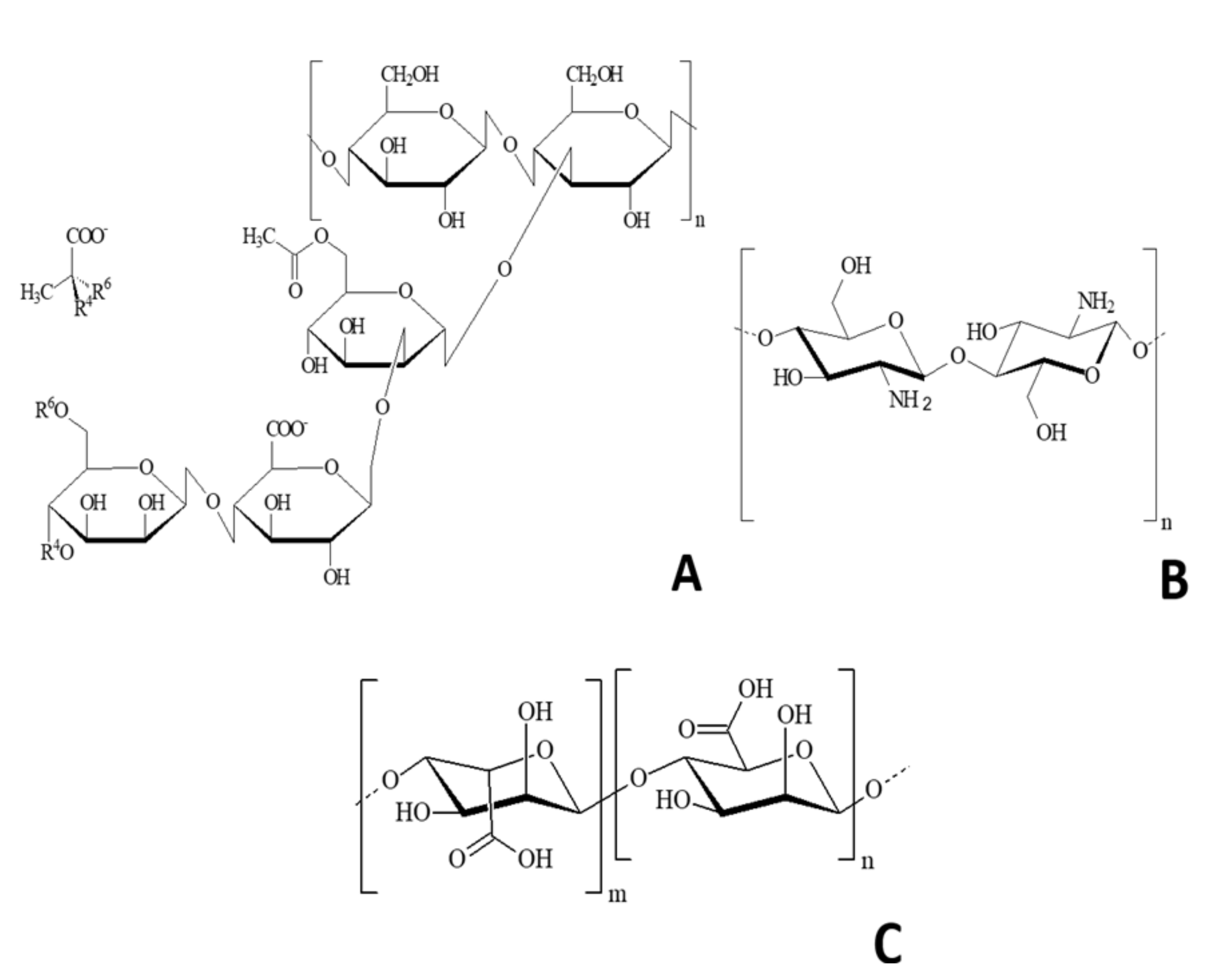Polymers 12 02173 g001