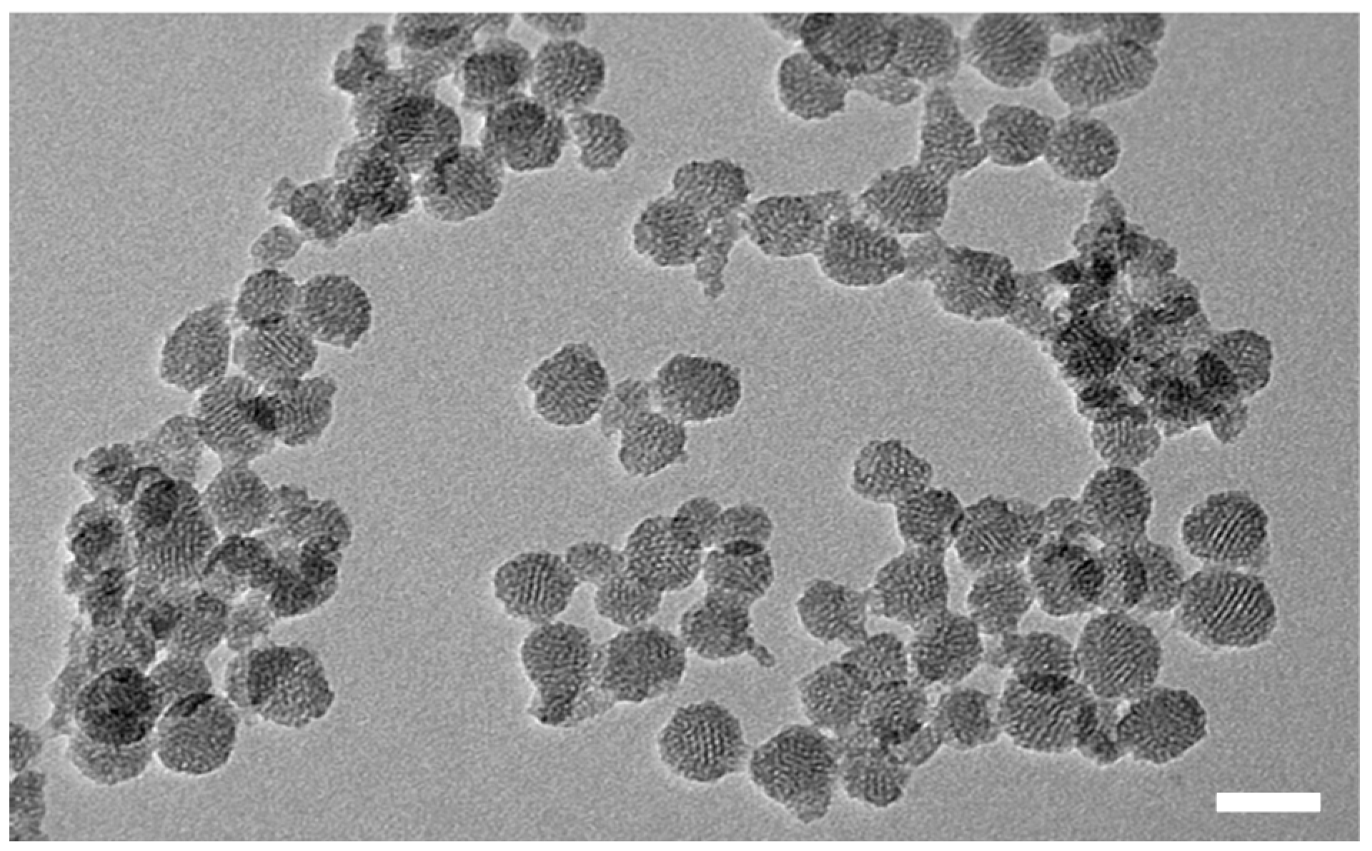 Polymers 12 02175 g002 Polymers 12 02175 g002