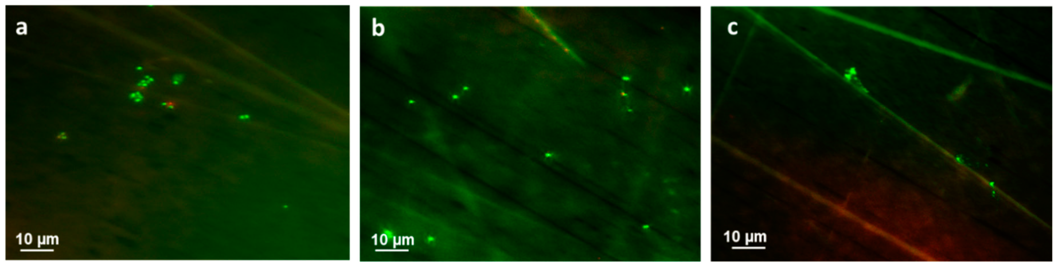 Polymers 12 02181 g006 Polymers 12 02181 g006