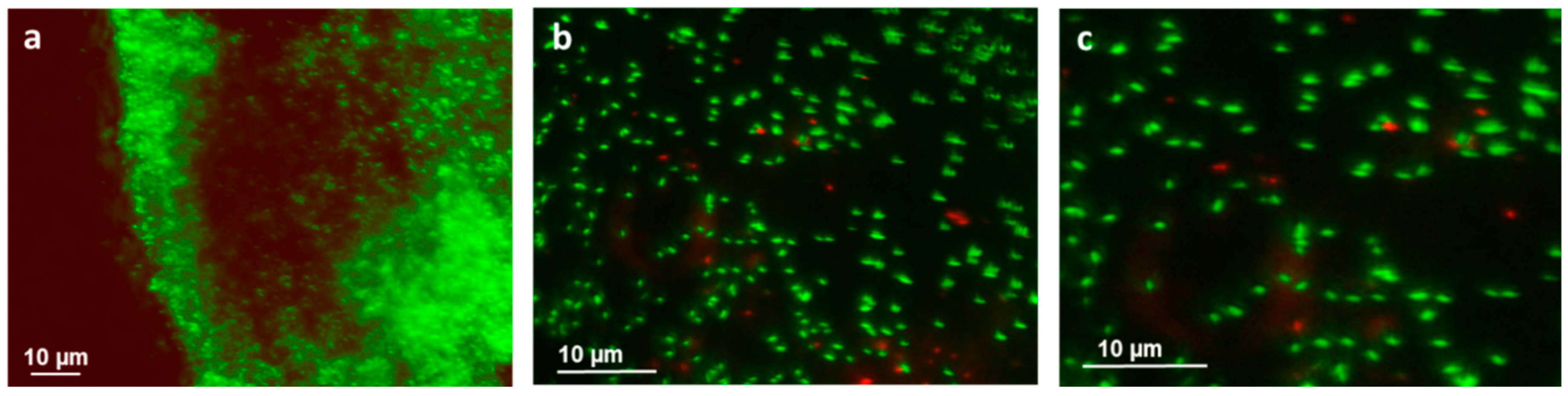 Polymers 12 02181 g007 Polymers 12 02181 g007