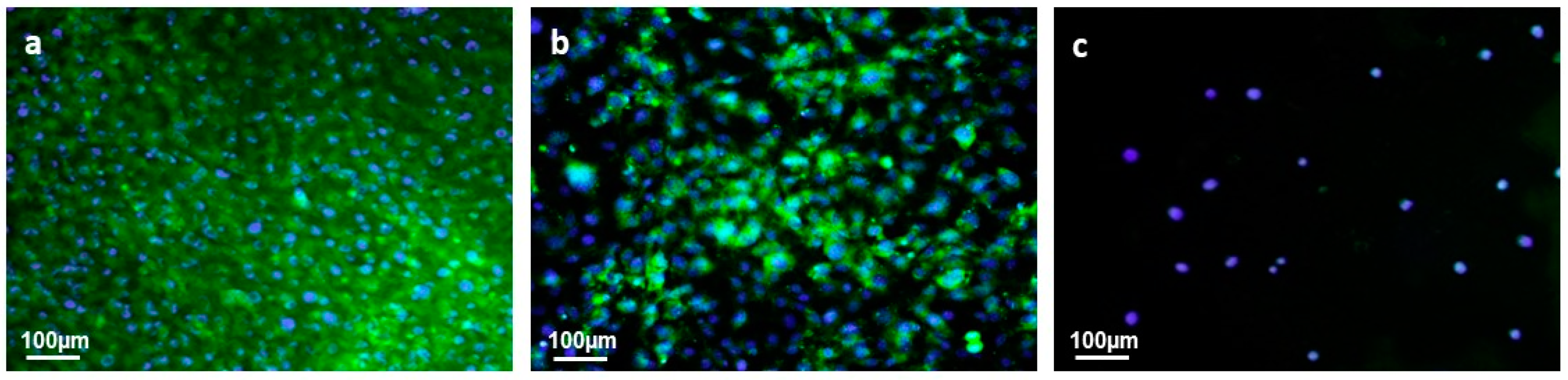 Polymers 12 02181 g009 Polymers 12 02181 g009