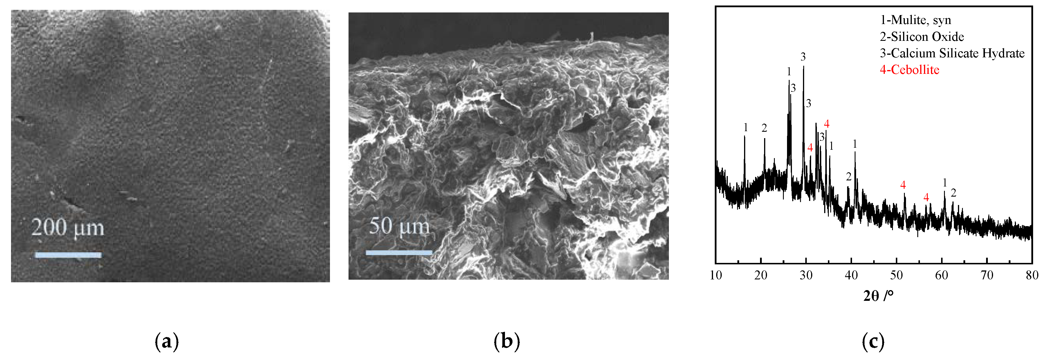 Polymers 12 02187 g012 Polymers 12 02187 g012