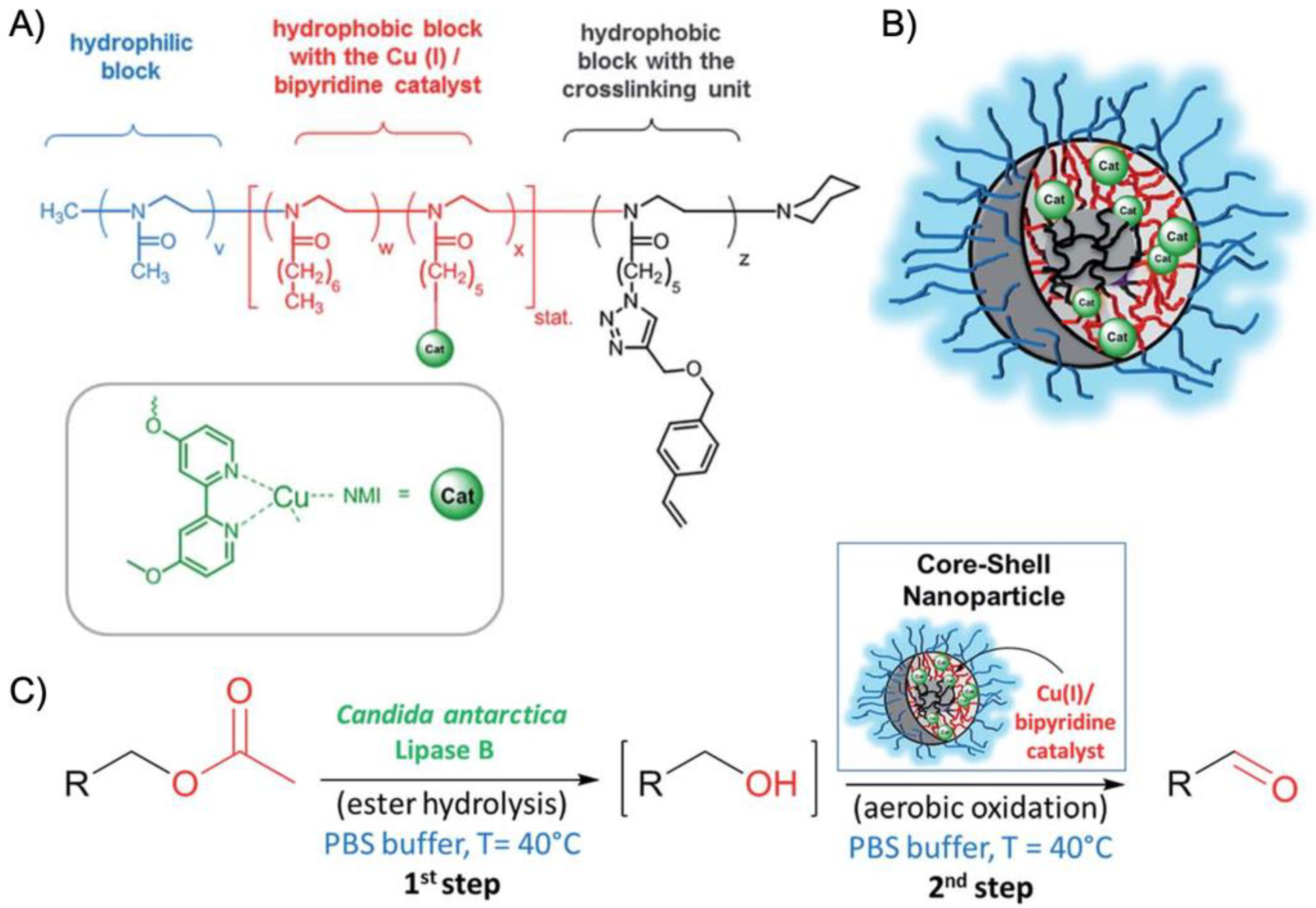 Polymers Free FullText Recent Advances in the Synthesis and