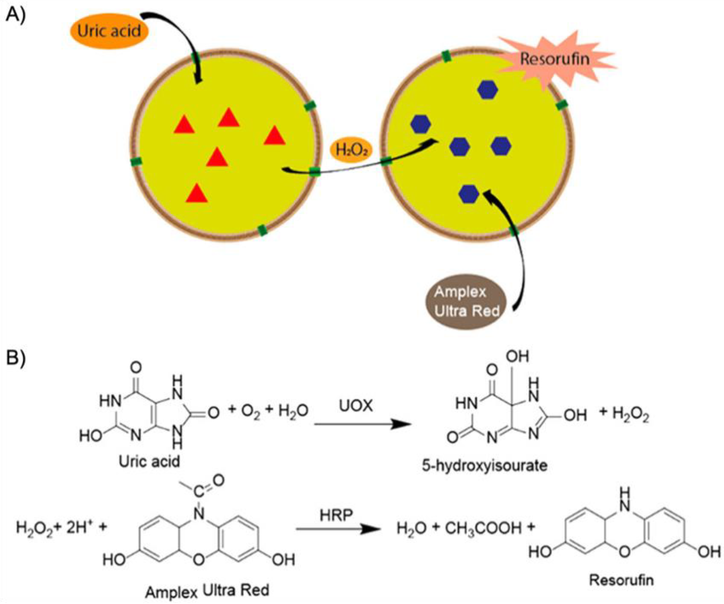 Polymers 12 02190 g019