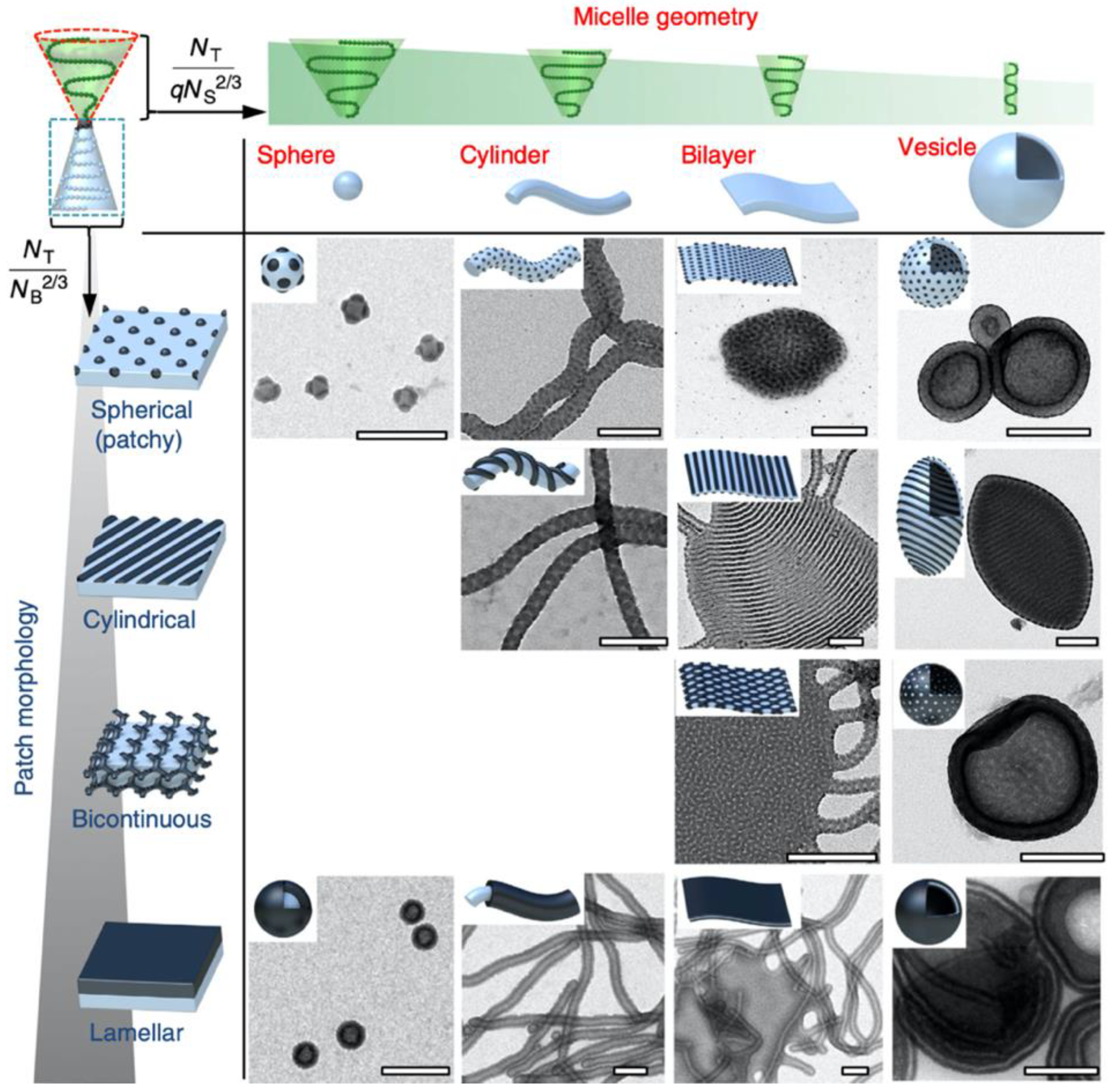 Polymers 12 02190 g020