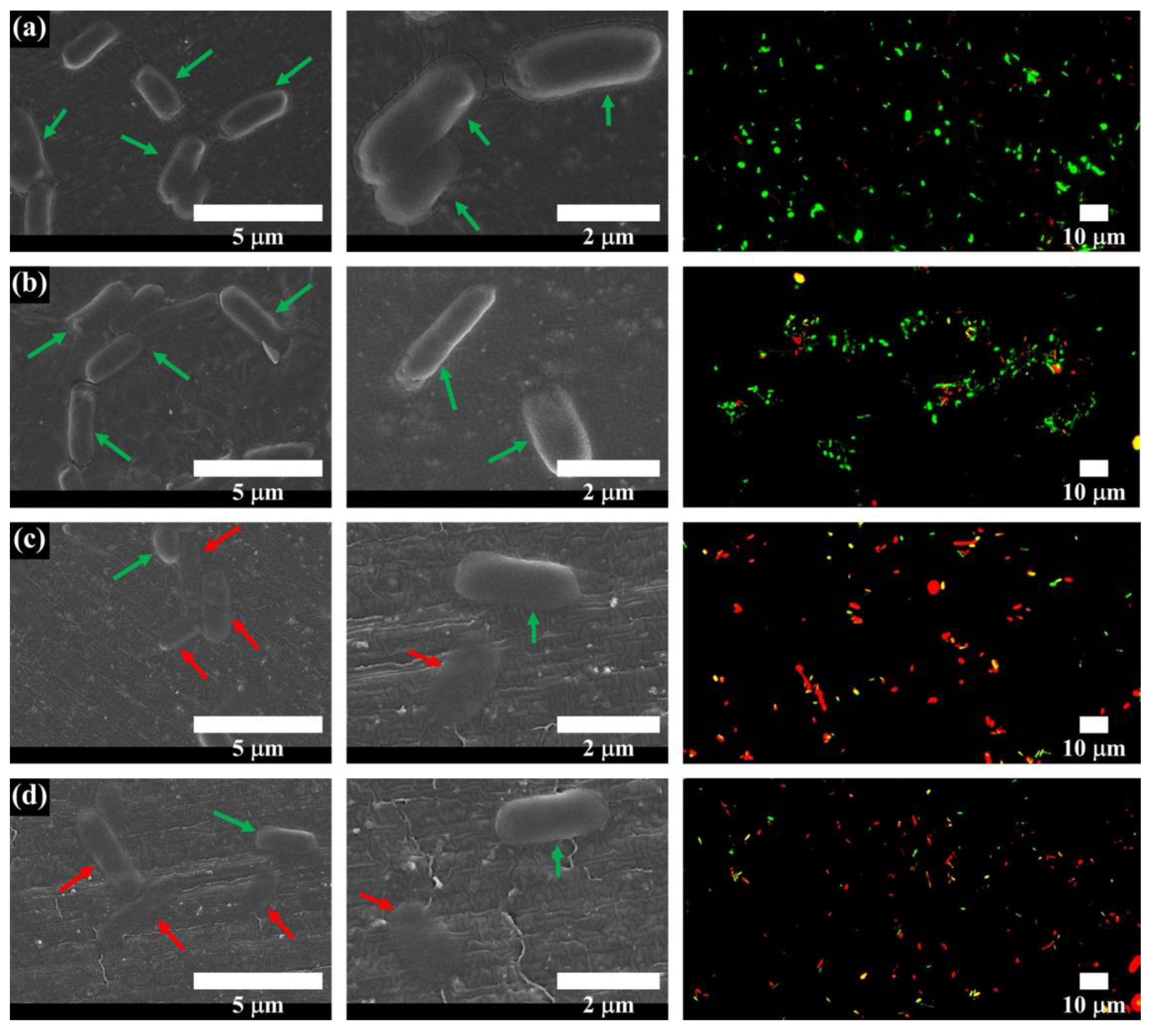Polymers 12 02193 g008 Polymers 12 02193 g008