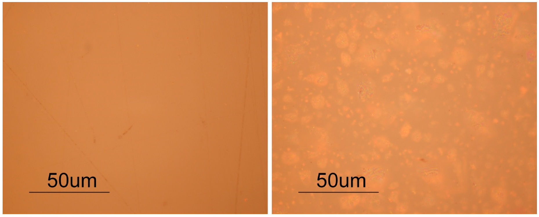 Polymers 12 02198 g002