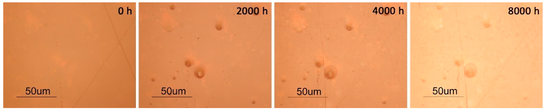 Polymers 12 02198 g009