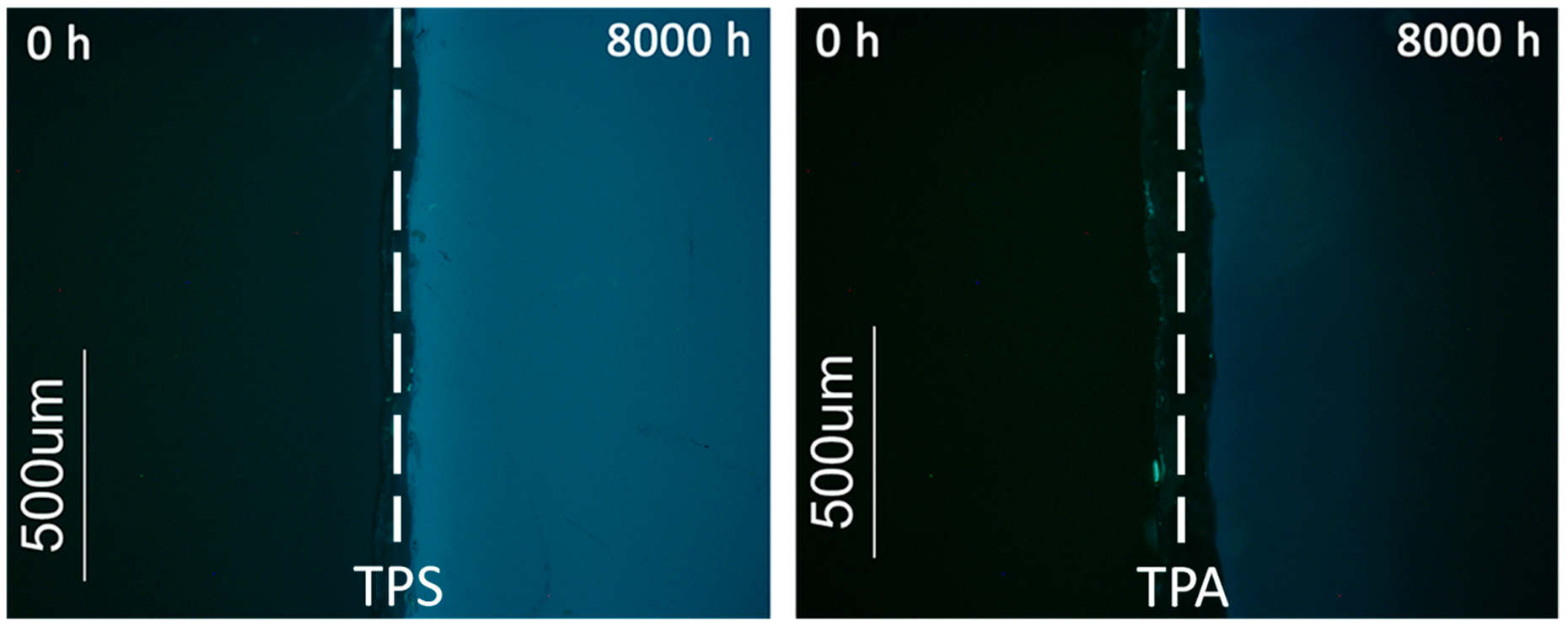 Polymers 12 02198 g010